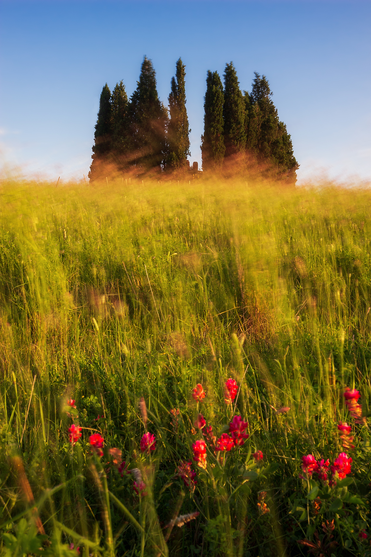 As an impressionist picture