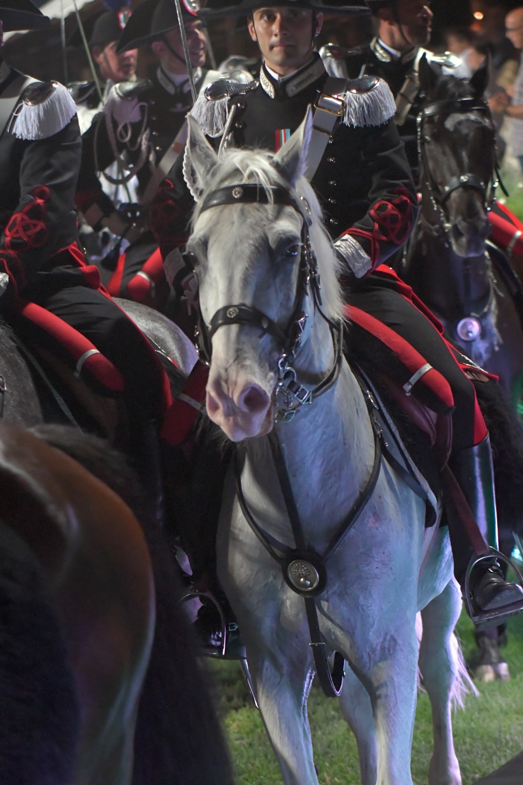 Piazza di Siena 2018