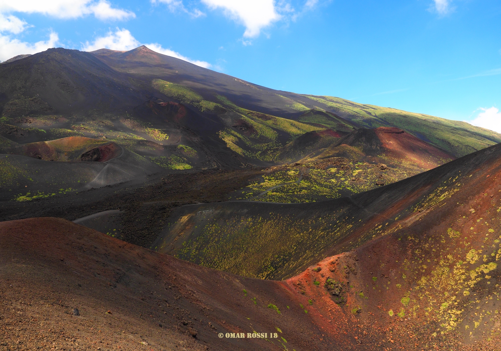 I mille colori di primavera