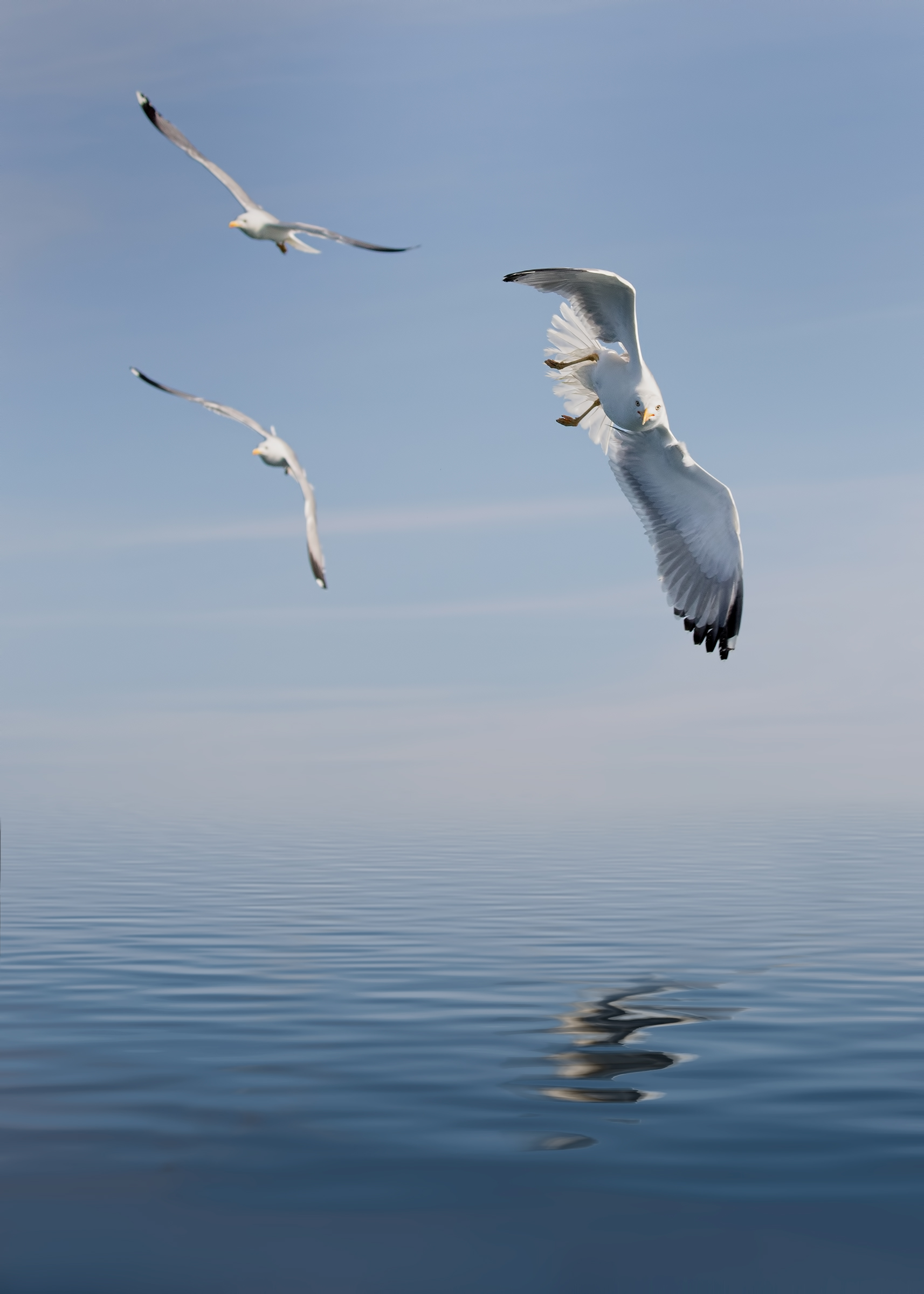 Coastal Trip - Viareggio 2018