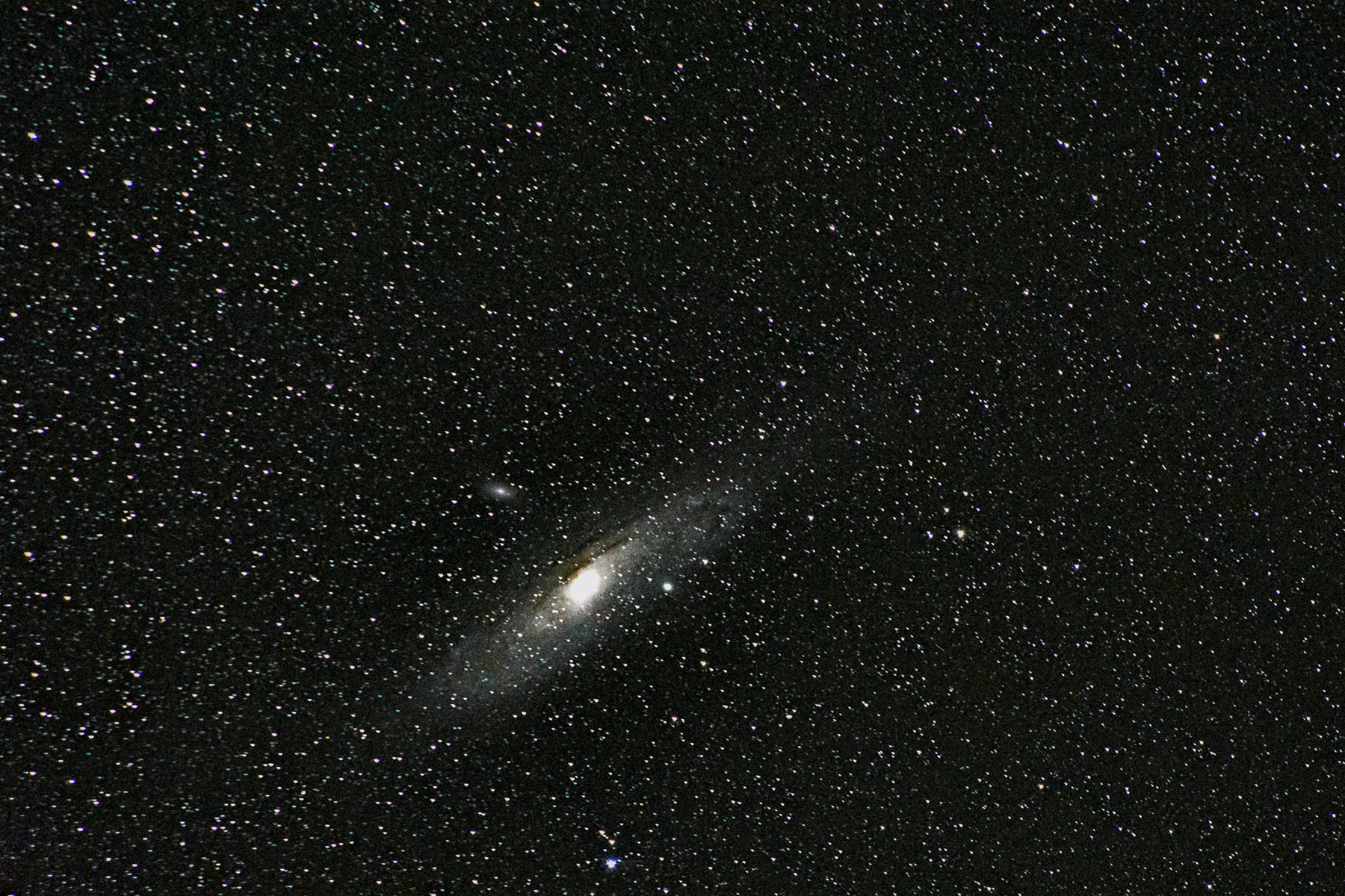 M31