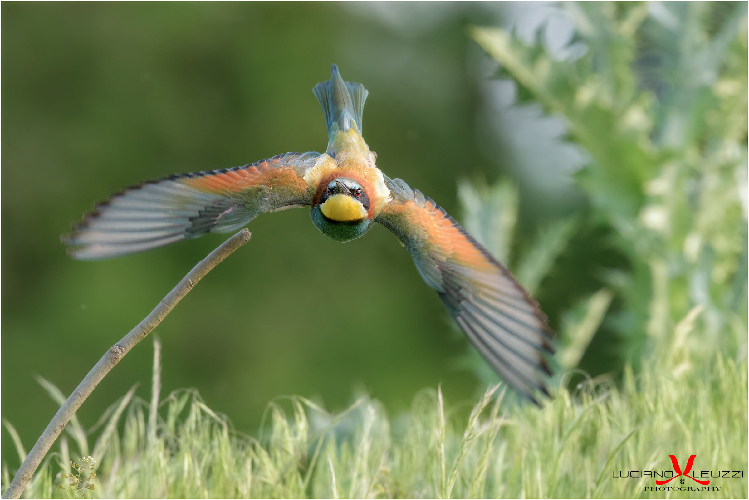 The eaters have arrived