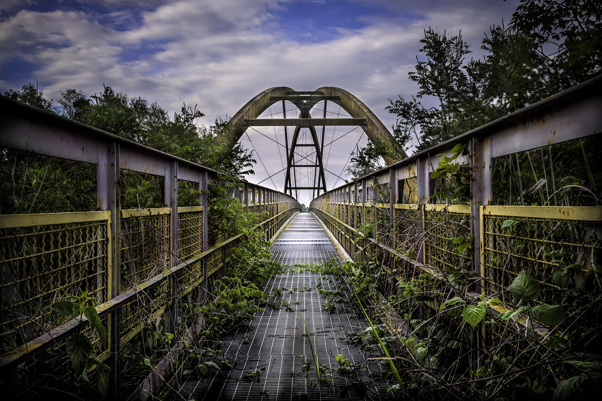 The bridge into the unknown