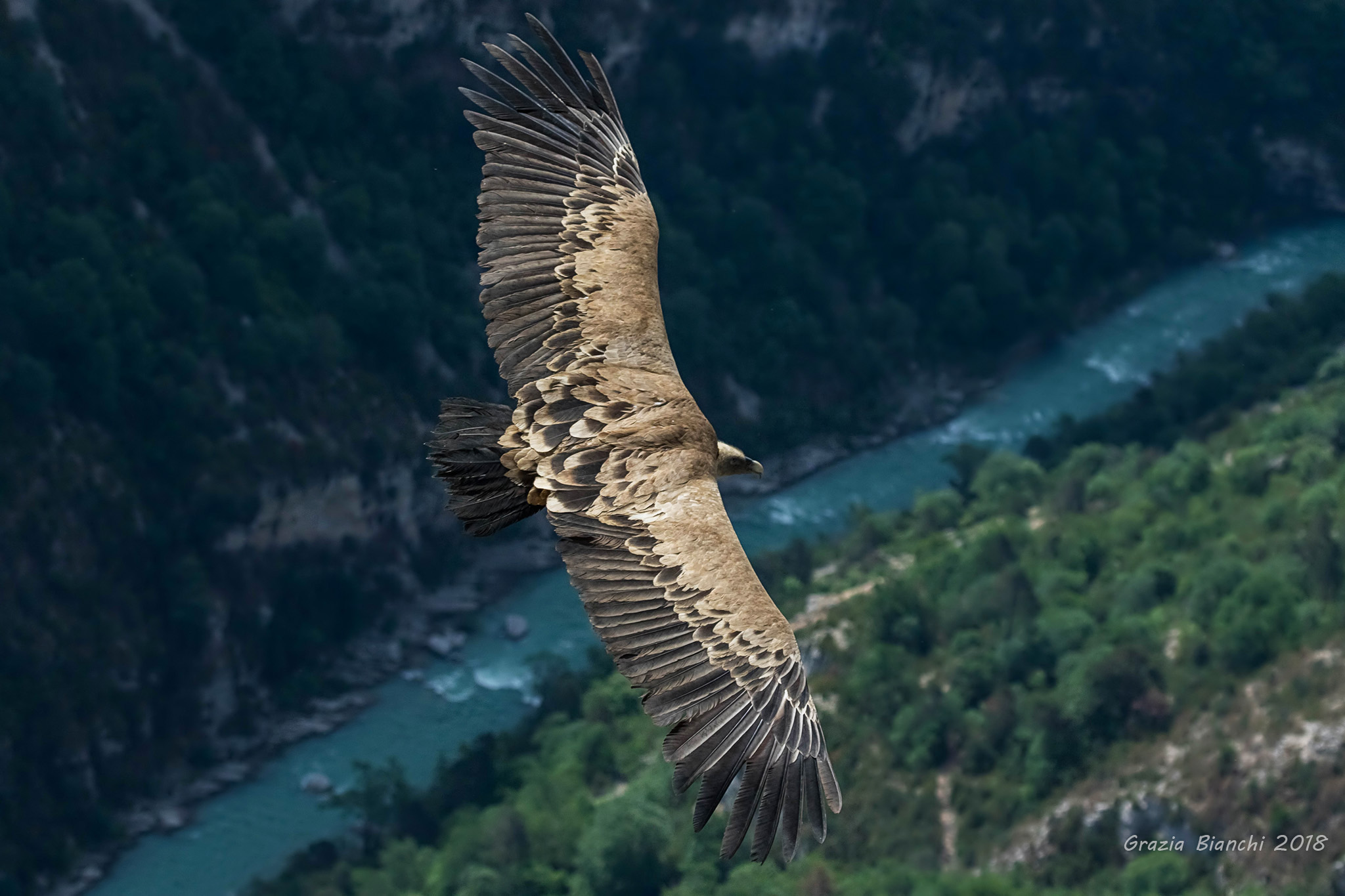 Griffin-Verdon Gorges