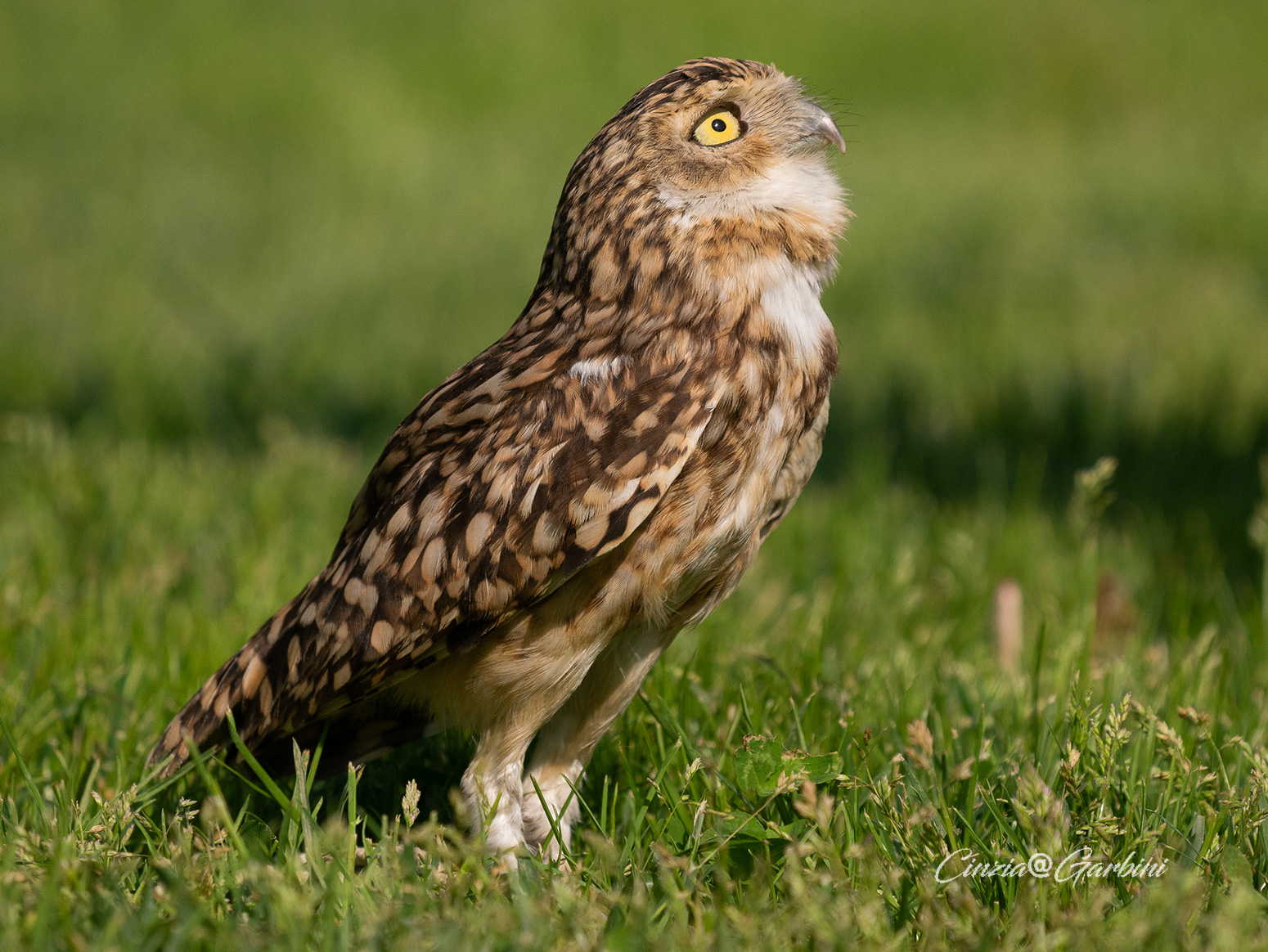 Does anyone love me up there?