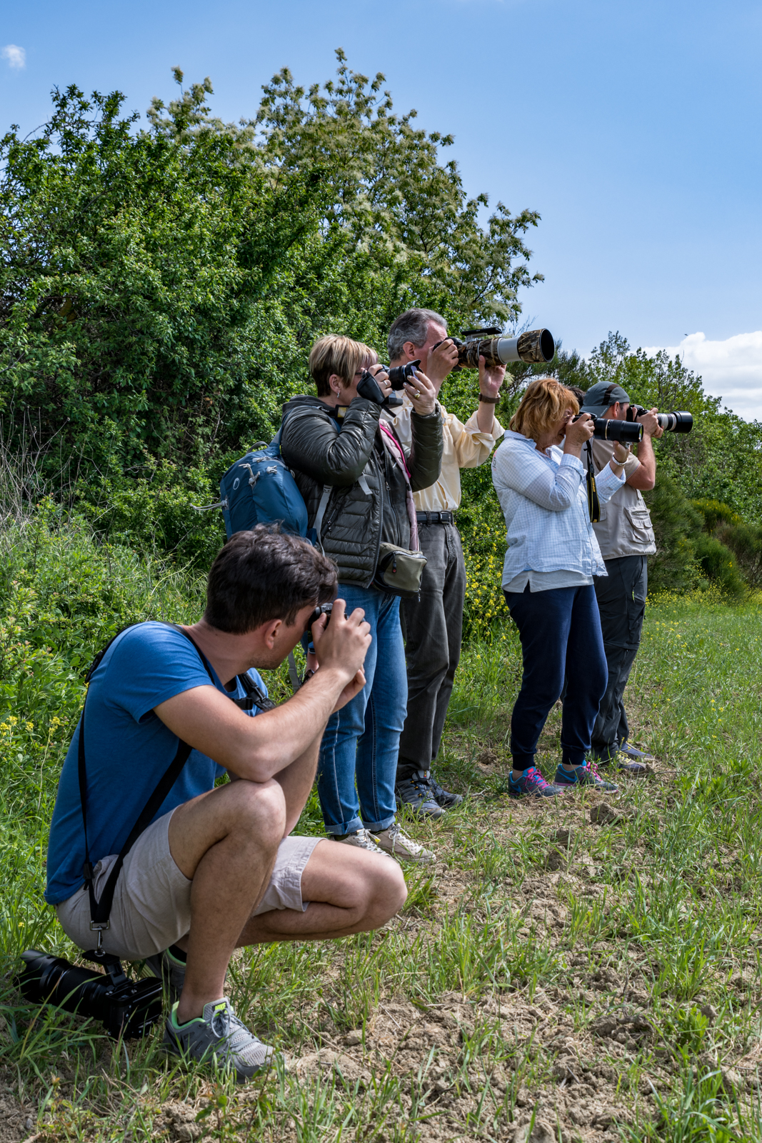 Firing squad... landscapes