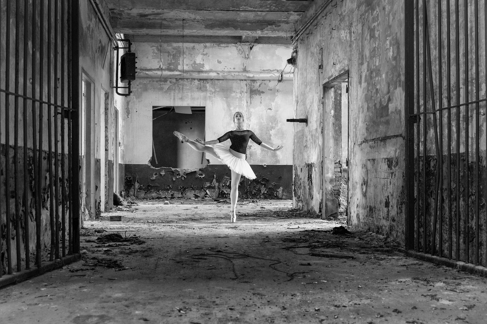 il magico mondo della danza