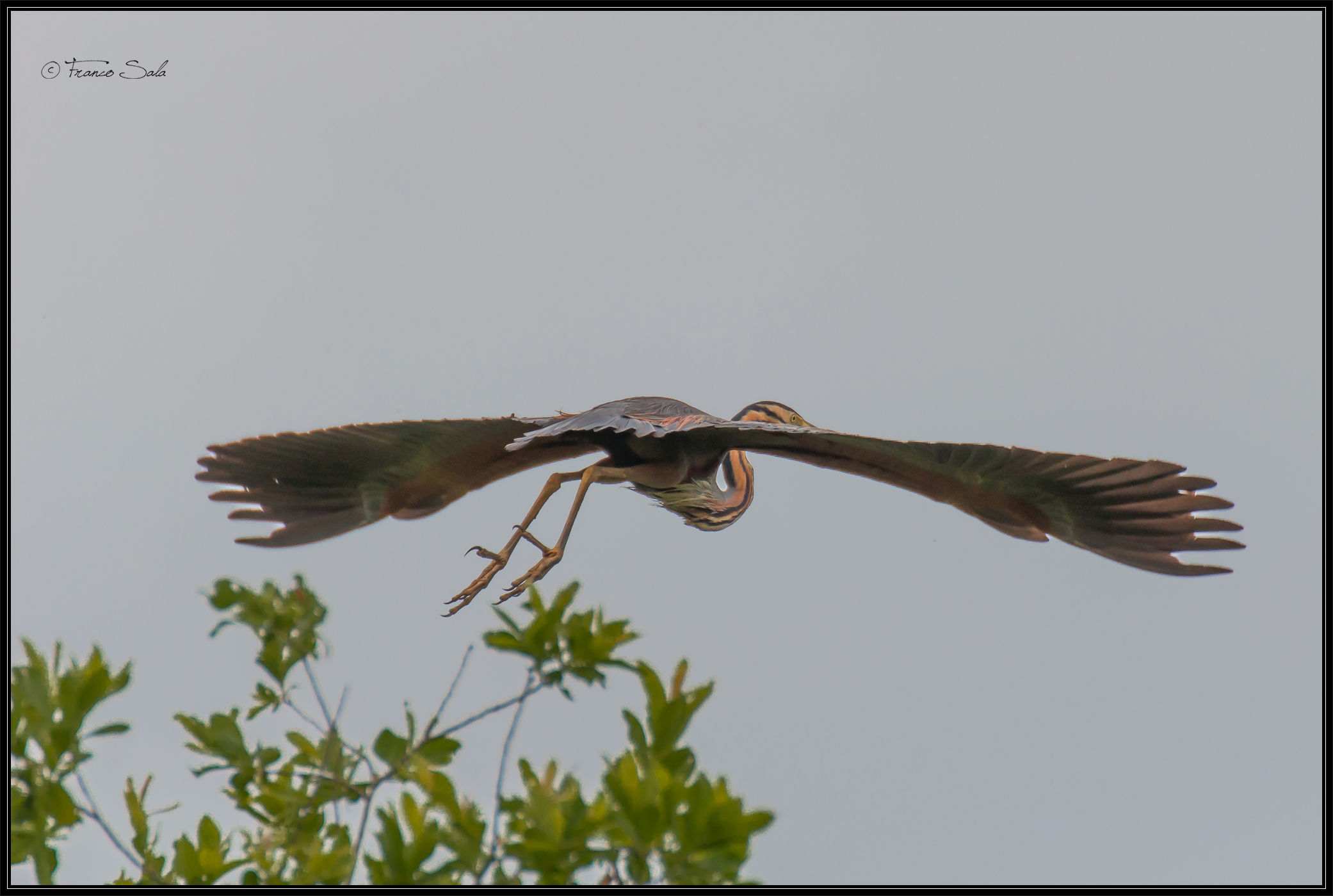 Garzaia of Celpenchio