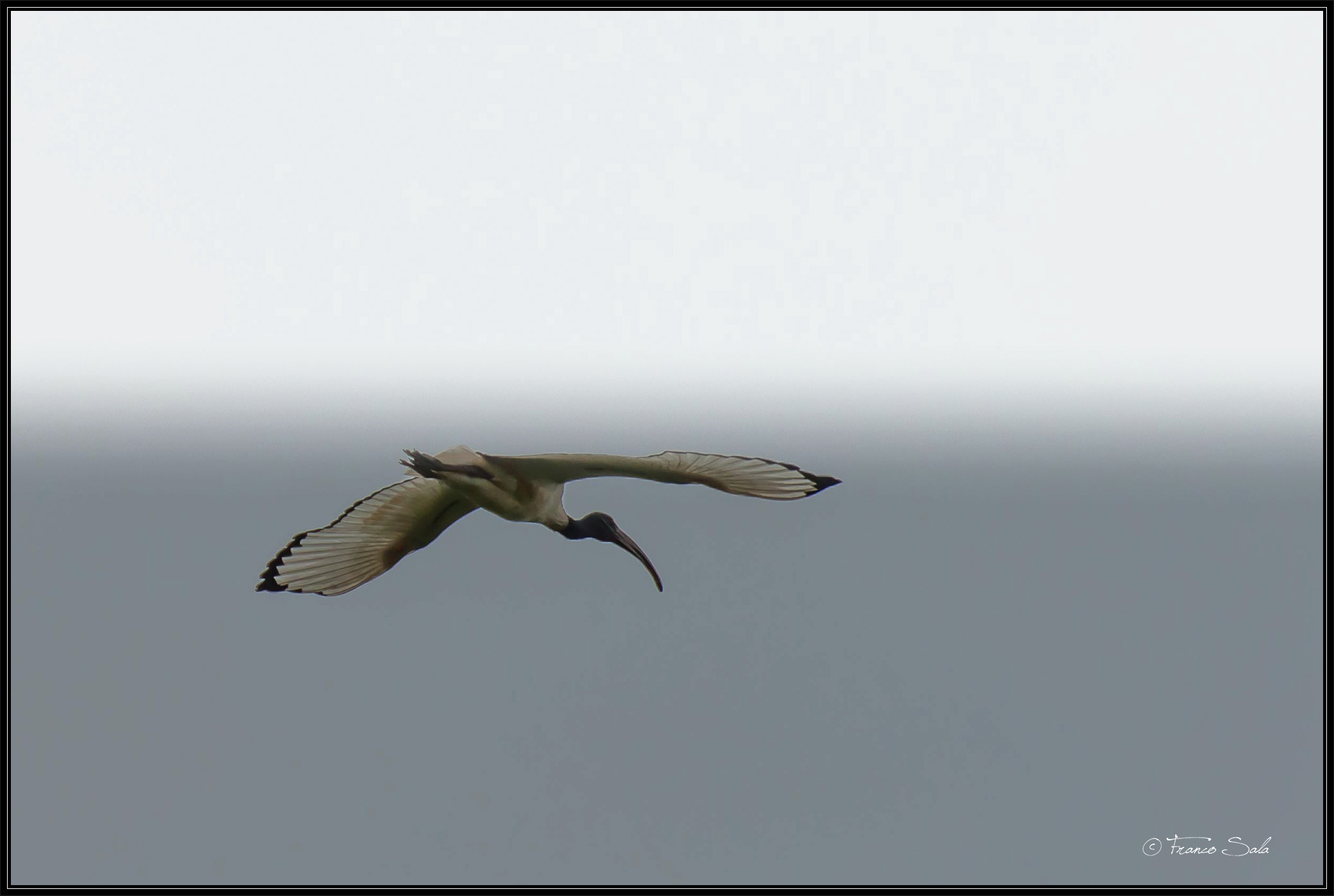 Garzaia of Celpenchio