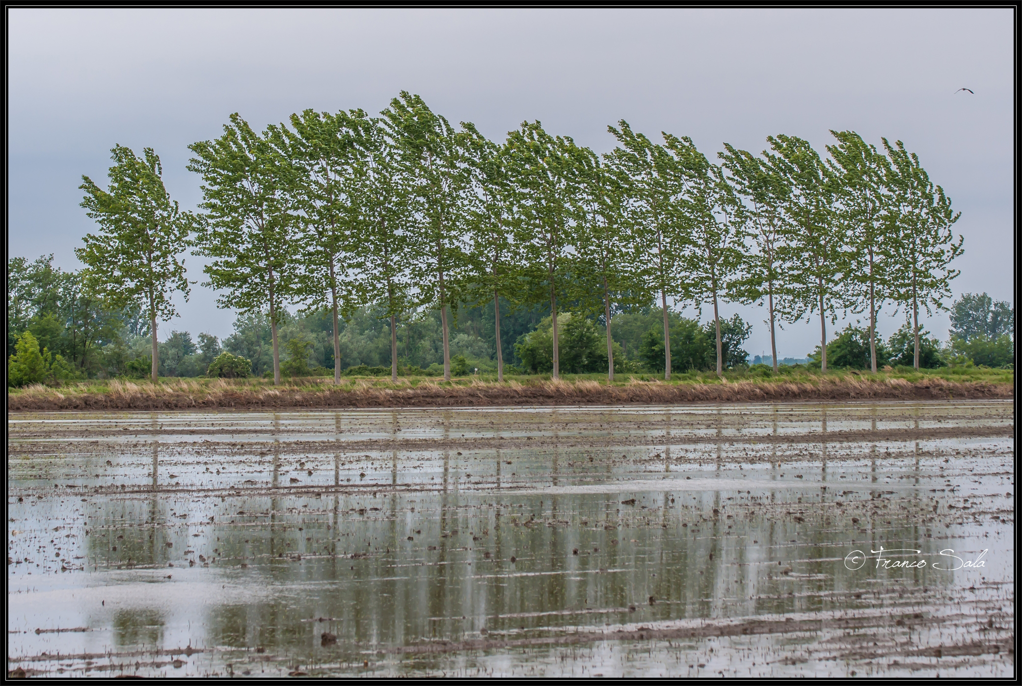 Garzaia of Celpenchio