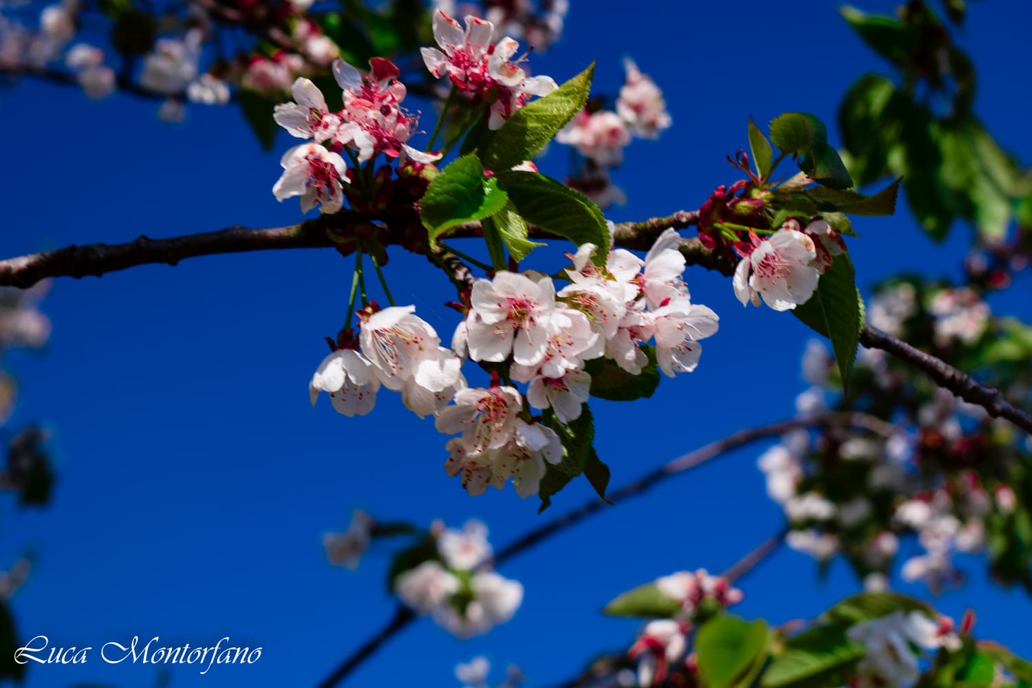 The essential in the details