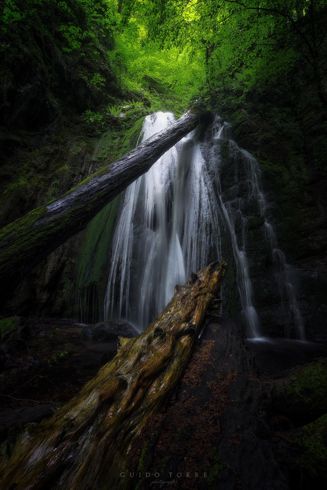 Waterfall Trunk, Monti Picentini