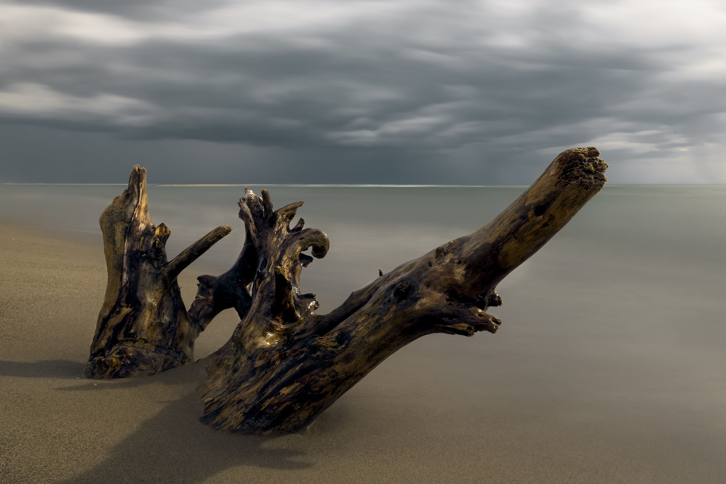 A Farewell of Winter 2