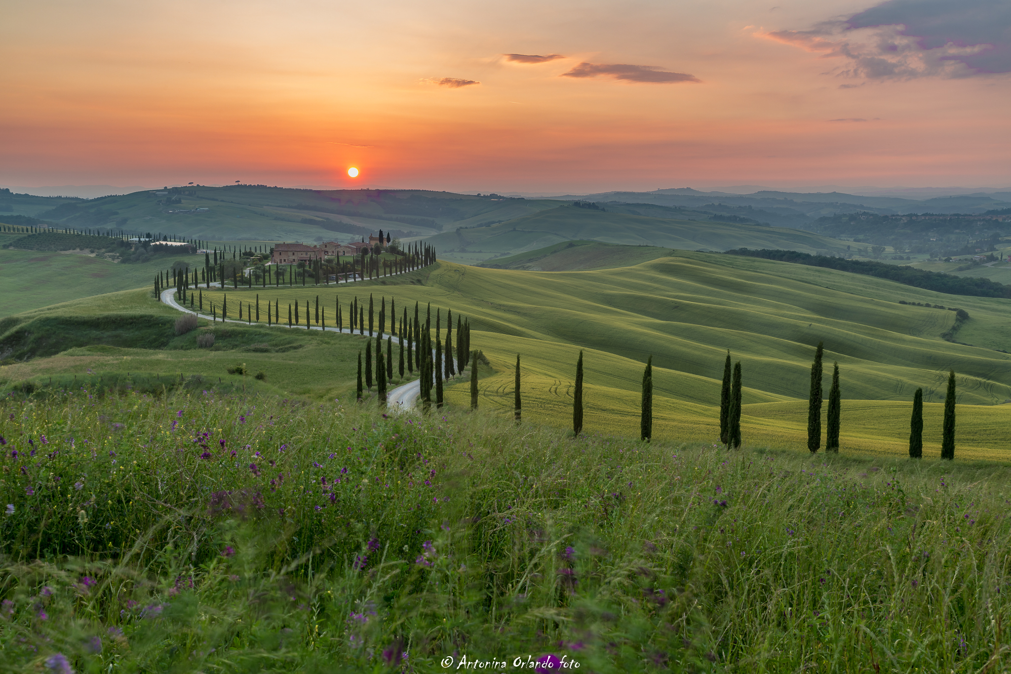 Aspettando il tramonto .