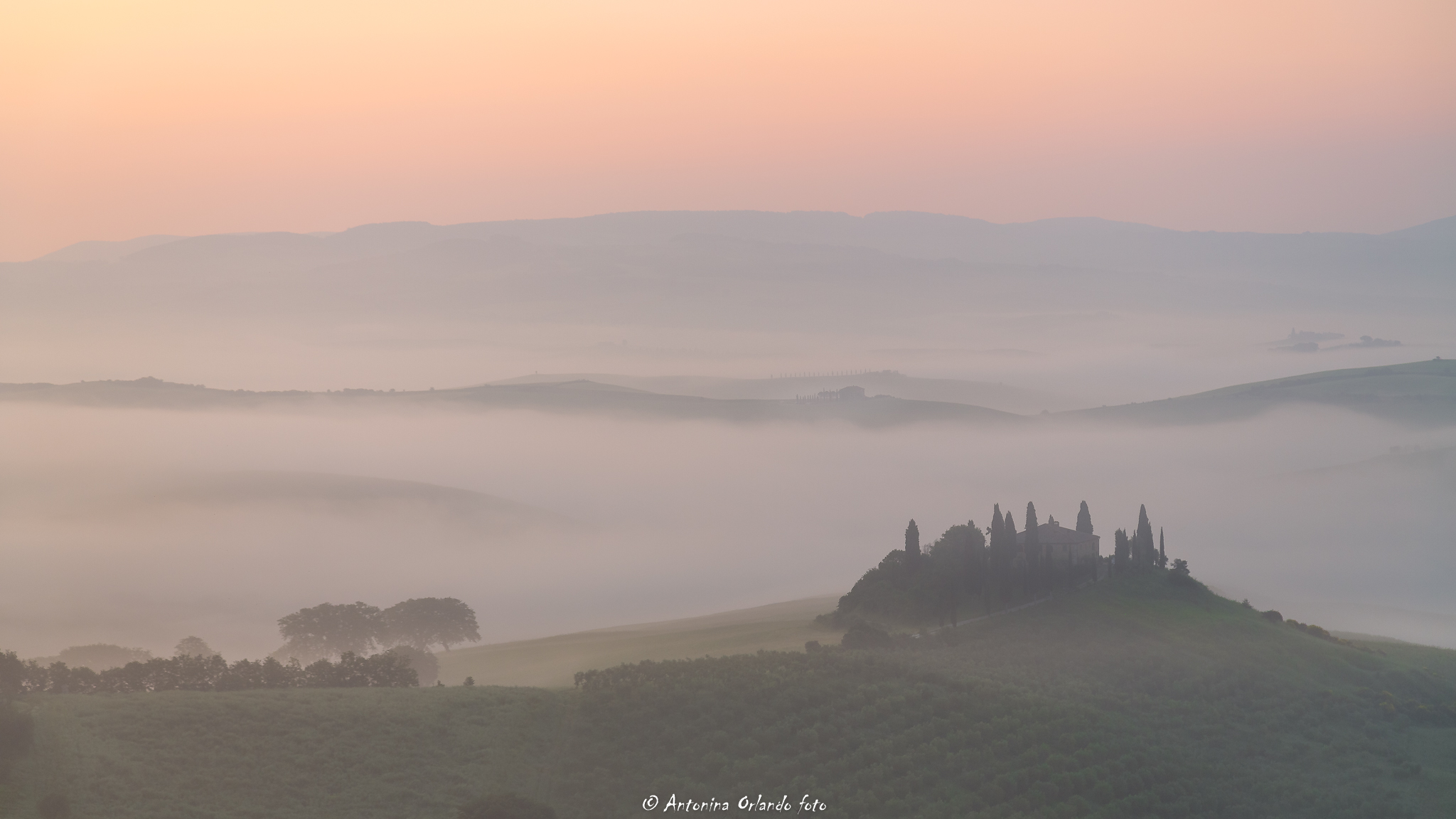 Aba di nebbie al podere Belvedere