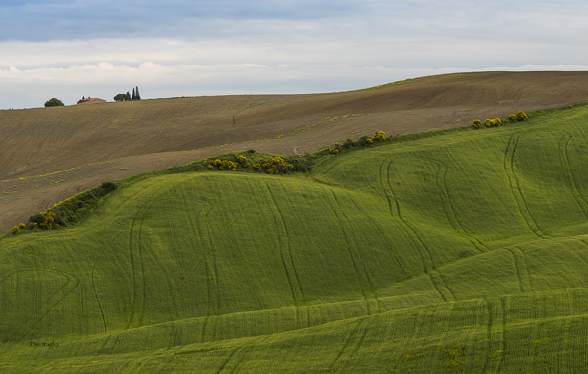 Campagna toscana