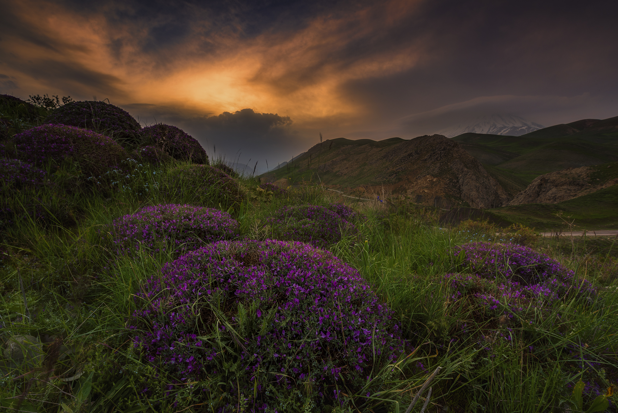 tramonto della sorgente