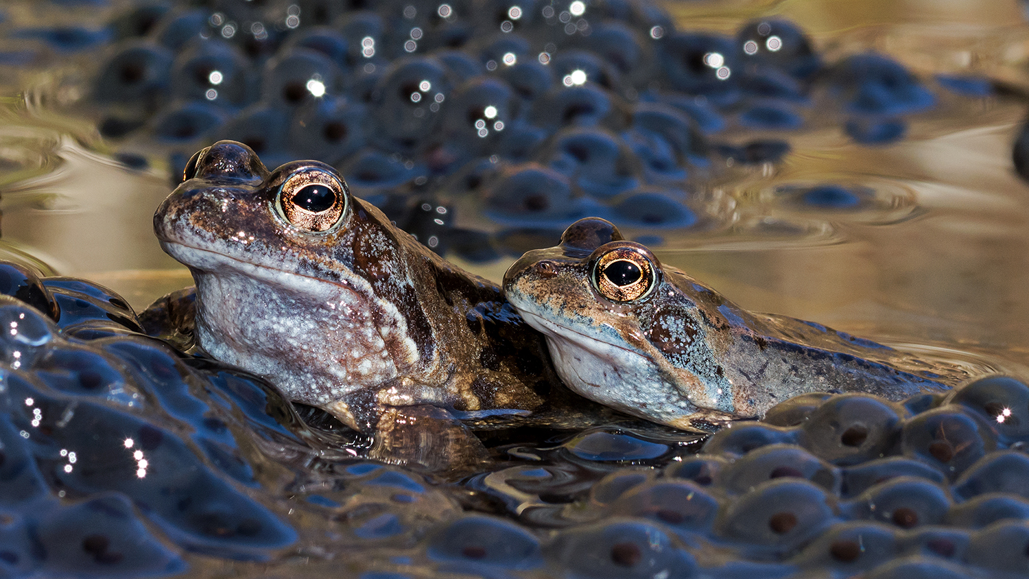 Il lavoro è terminato