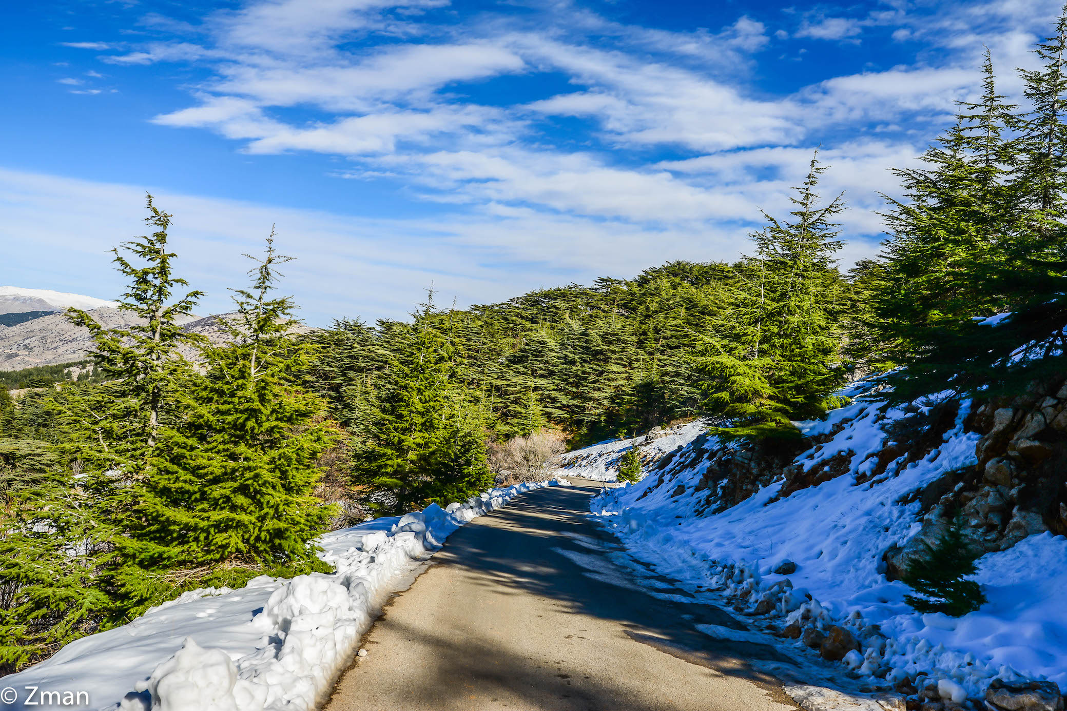 I cedri di al Barouk