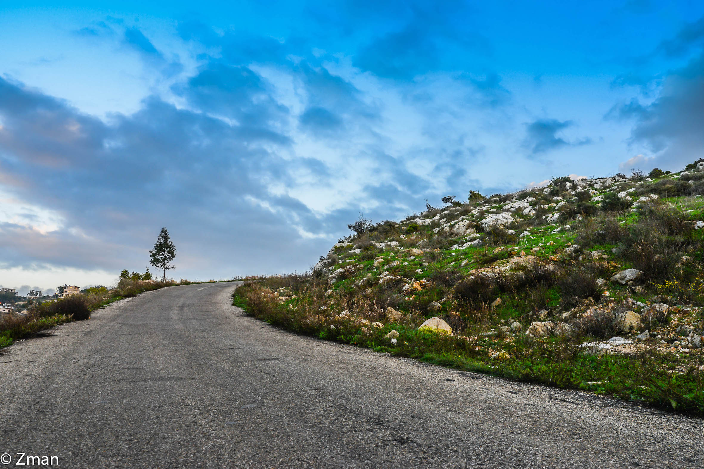 La strada per i cedri
