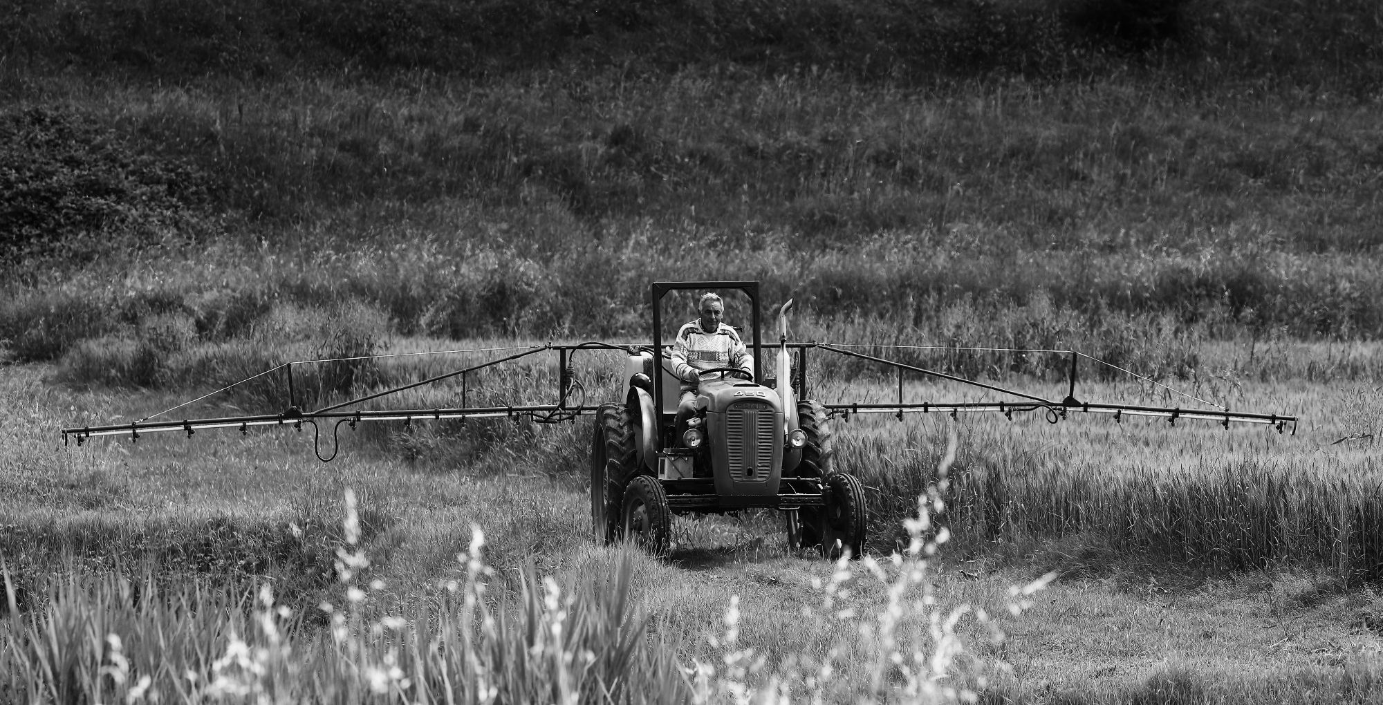 A spasso con 5DsR e 100-400