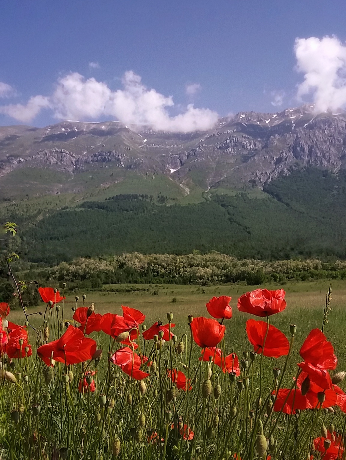 Parco Nazionale del Gran Sasso e Monti della Laga