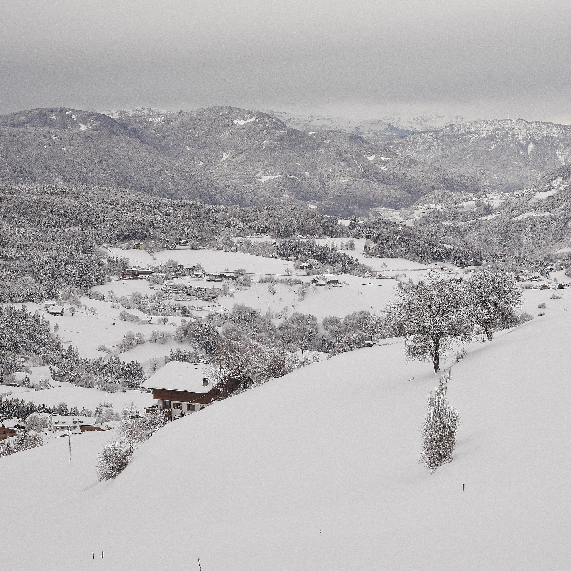Snow covered Landscape