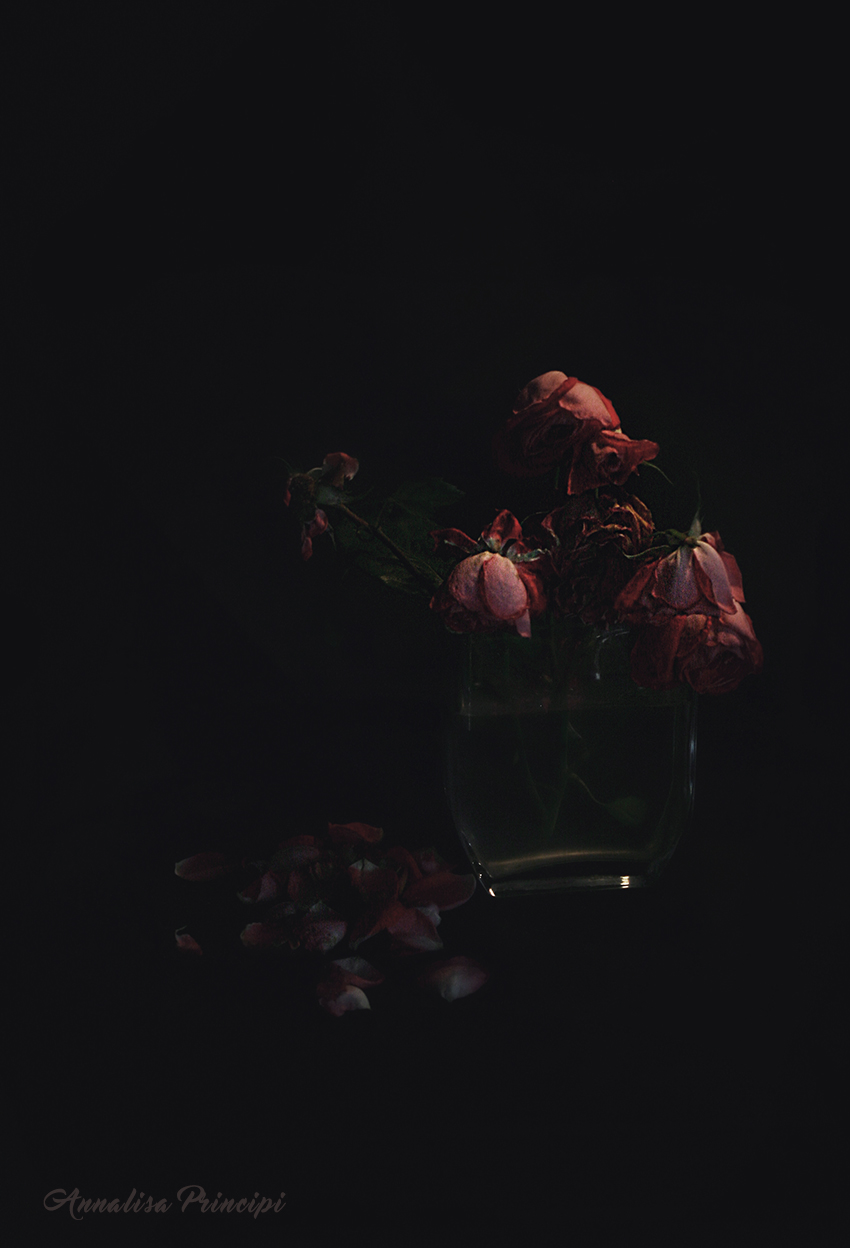 Melancholy Roses