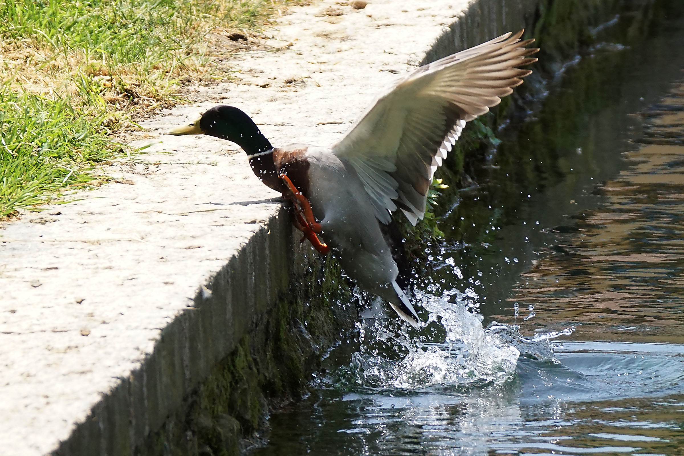 One in a thousand makes it