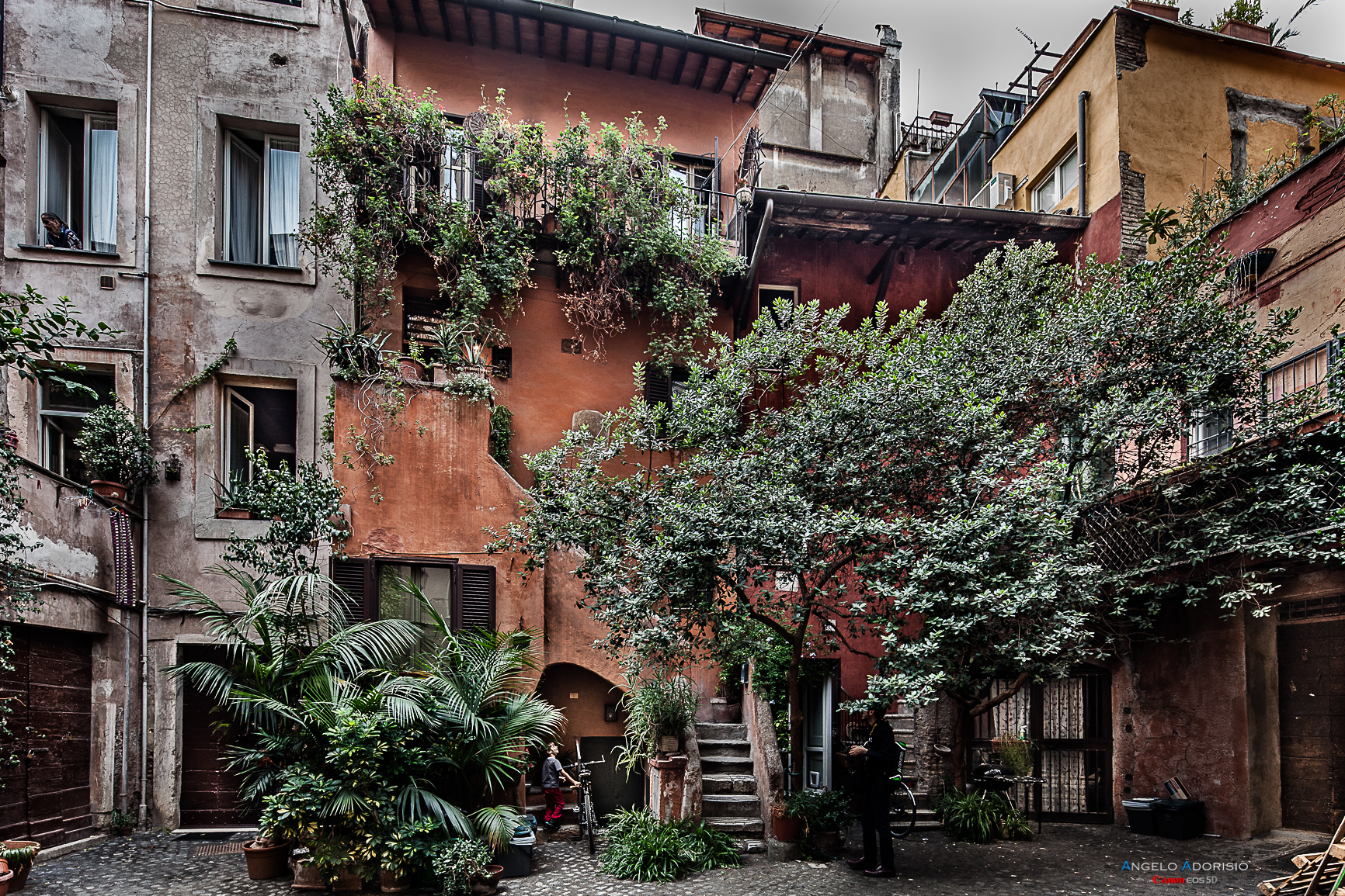 ROME-Campo am Fiori-Arc of the Acetals