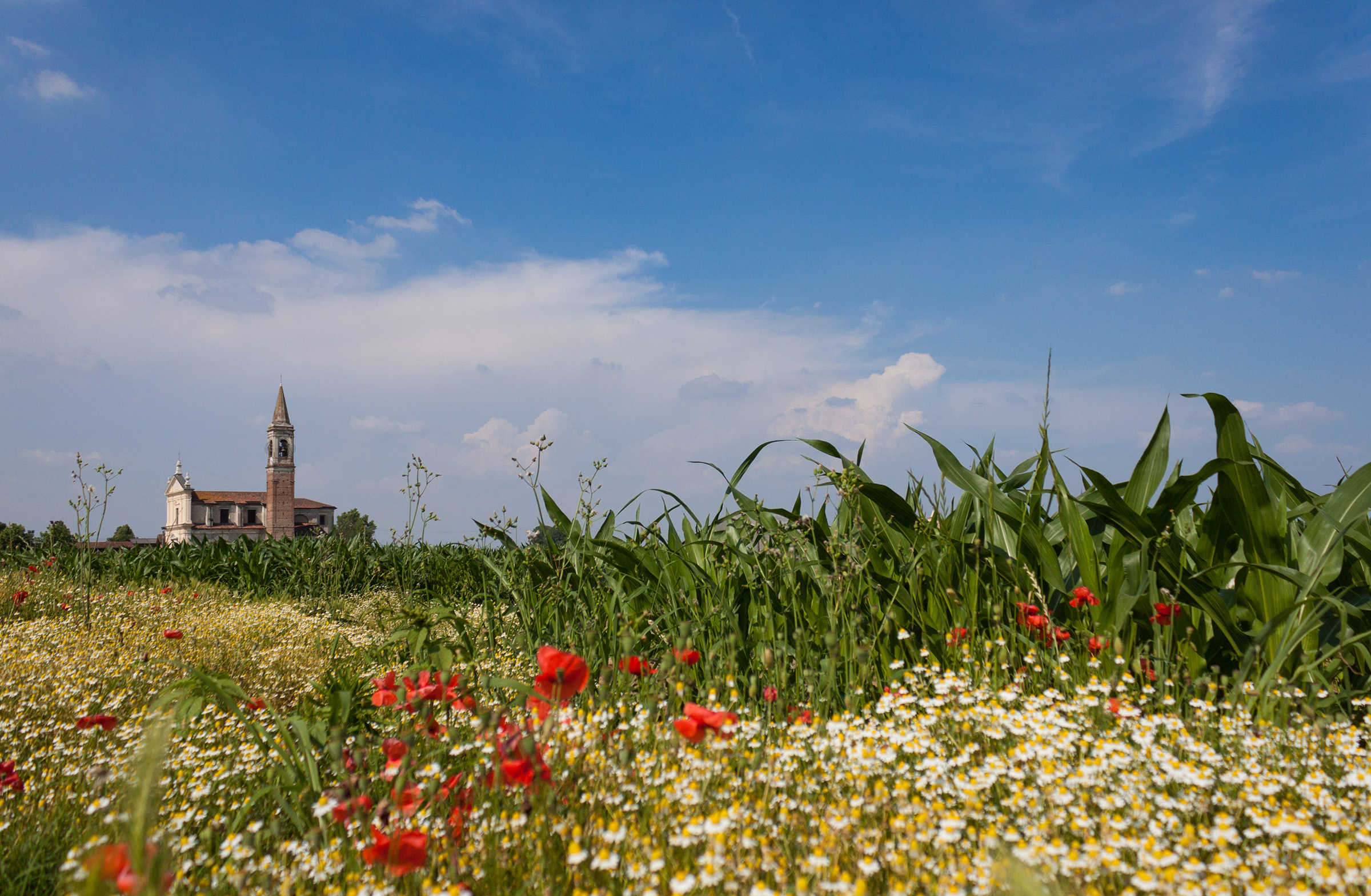 The Campaigns of Padernello
