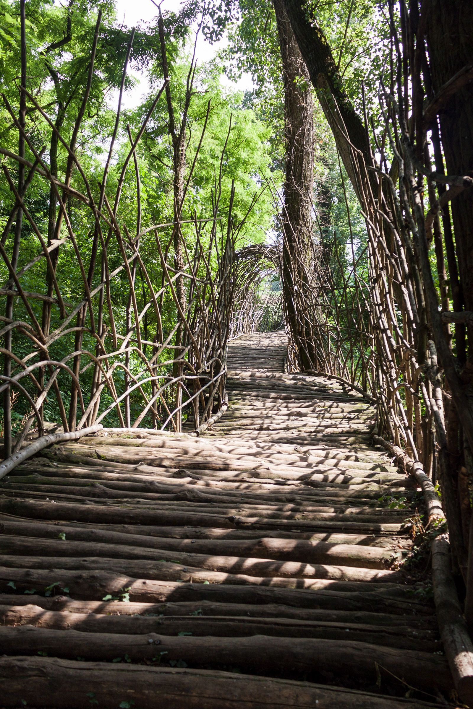 The Bridge of Giuliano Mauri