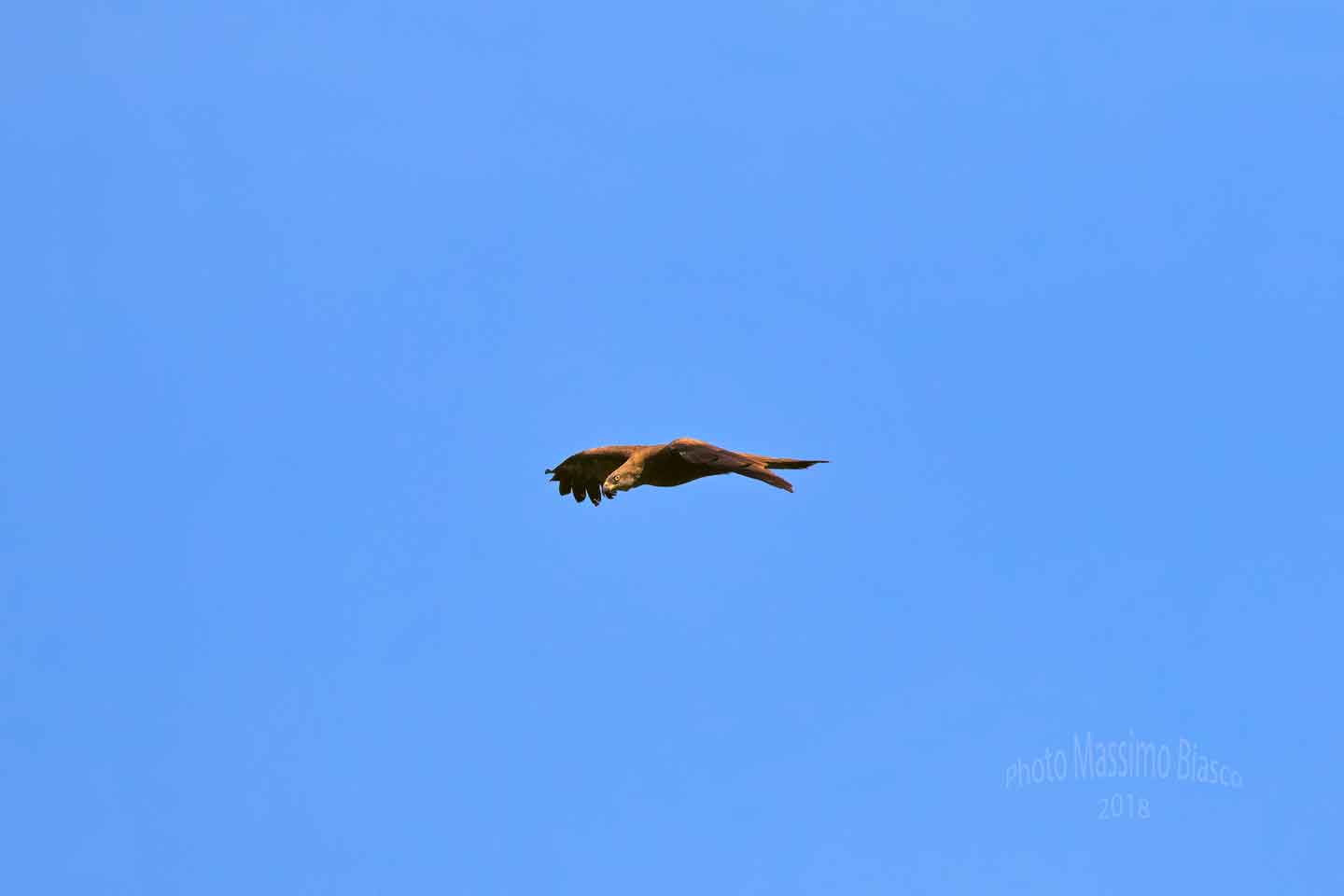 Are you looking at me? (Bangalore)