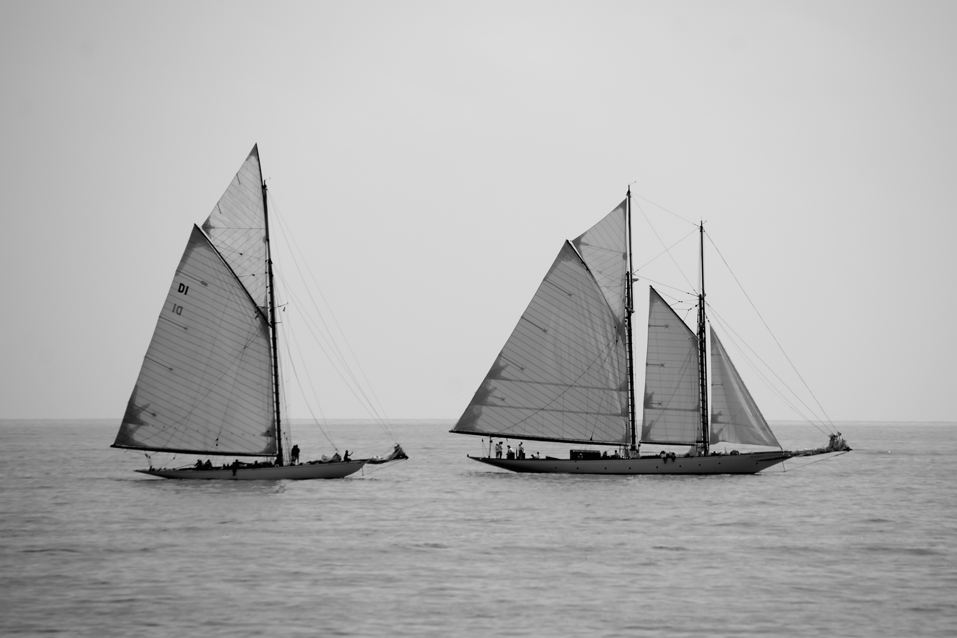Des voiles à Les voiles d'antibes 2018