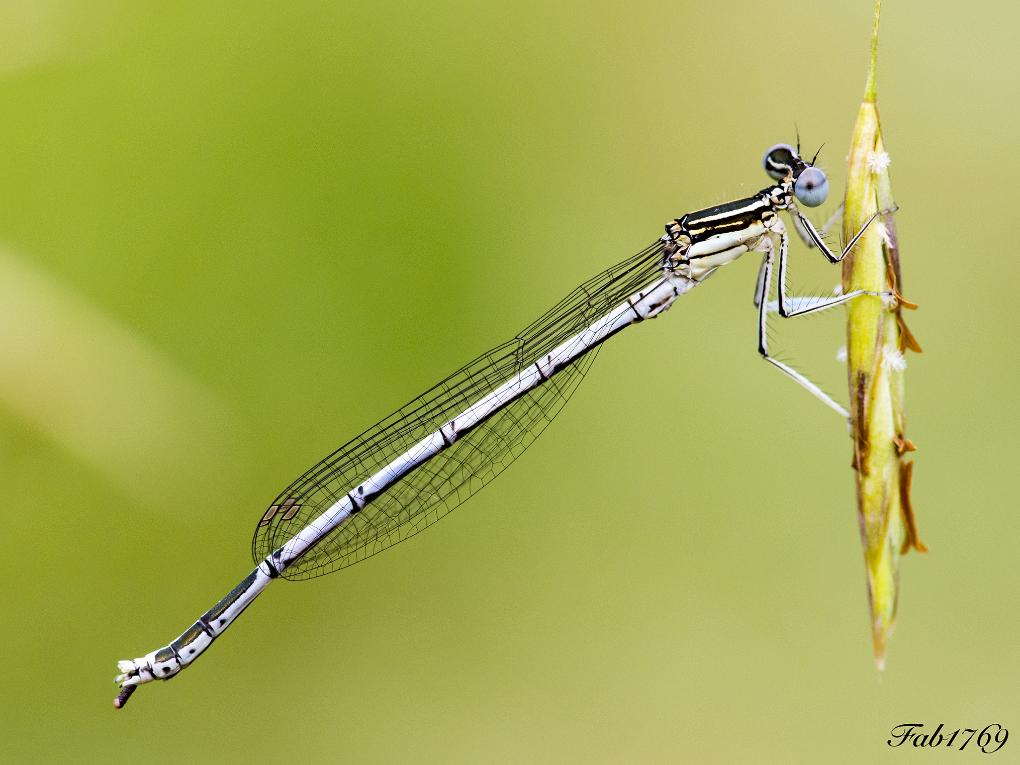 My first bridesmaid! Unearthed by chance...
