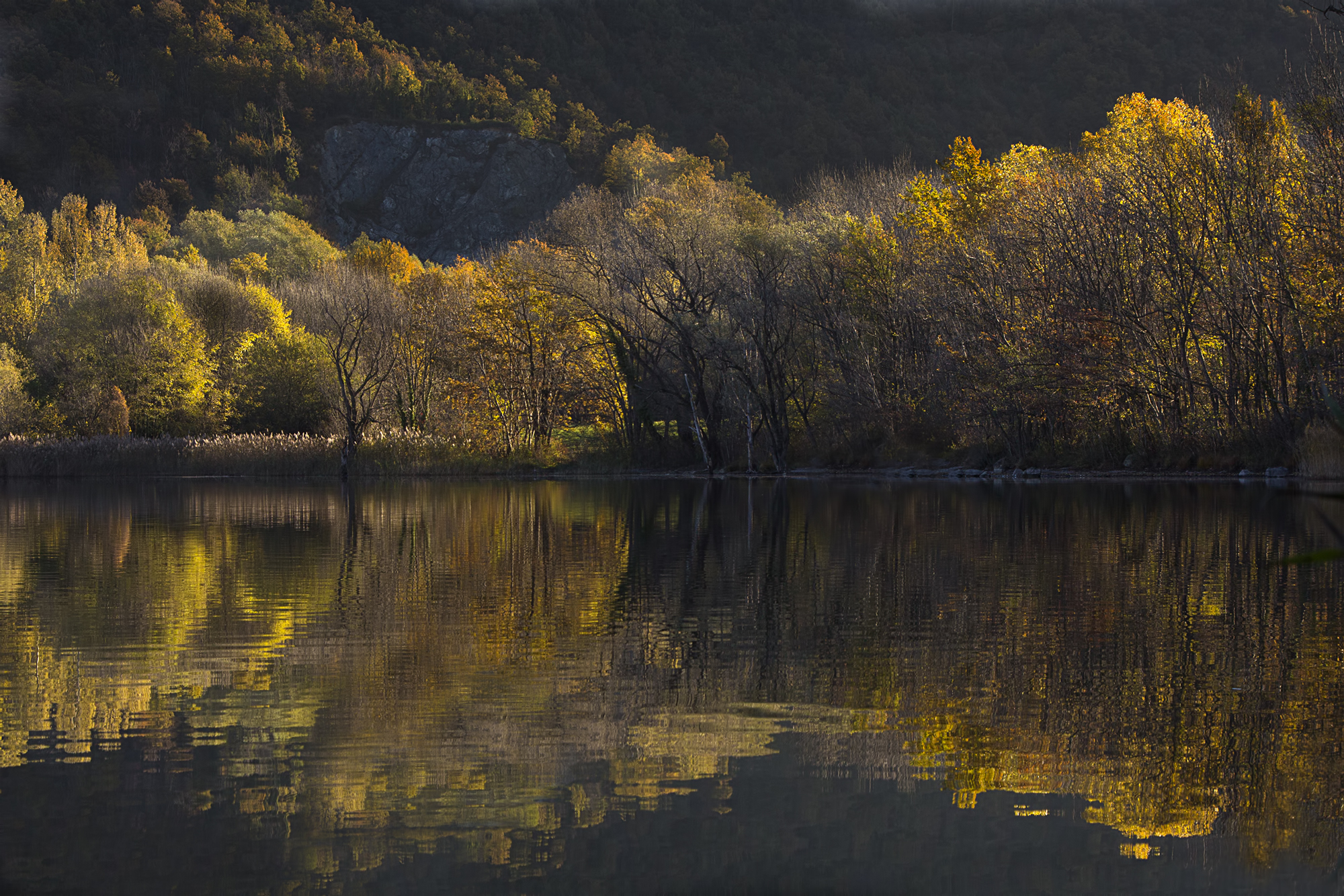 prime luci dell'alba su lago avigliana