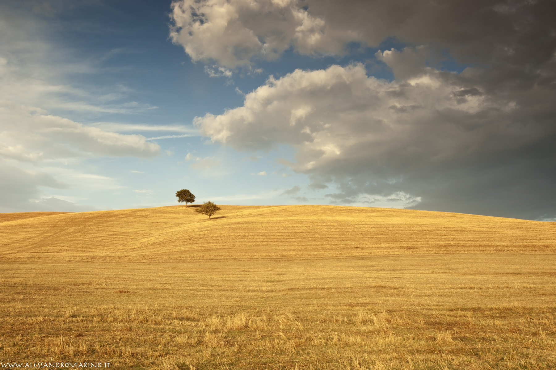 colline toscane