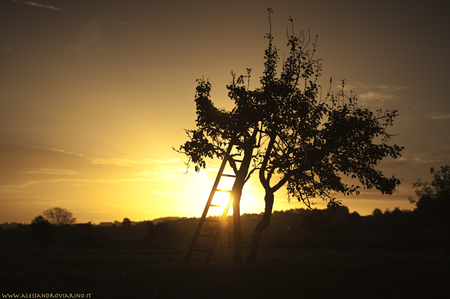 colline toscane