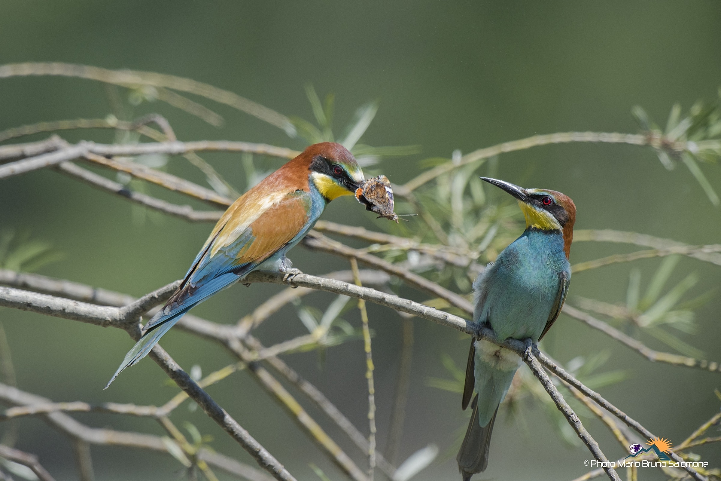 .. I give one thing to you.....