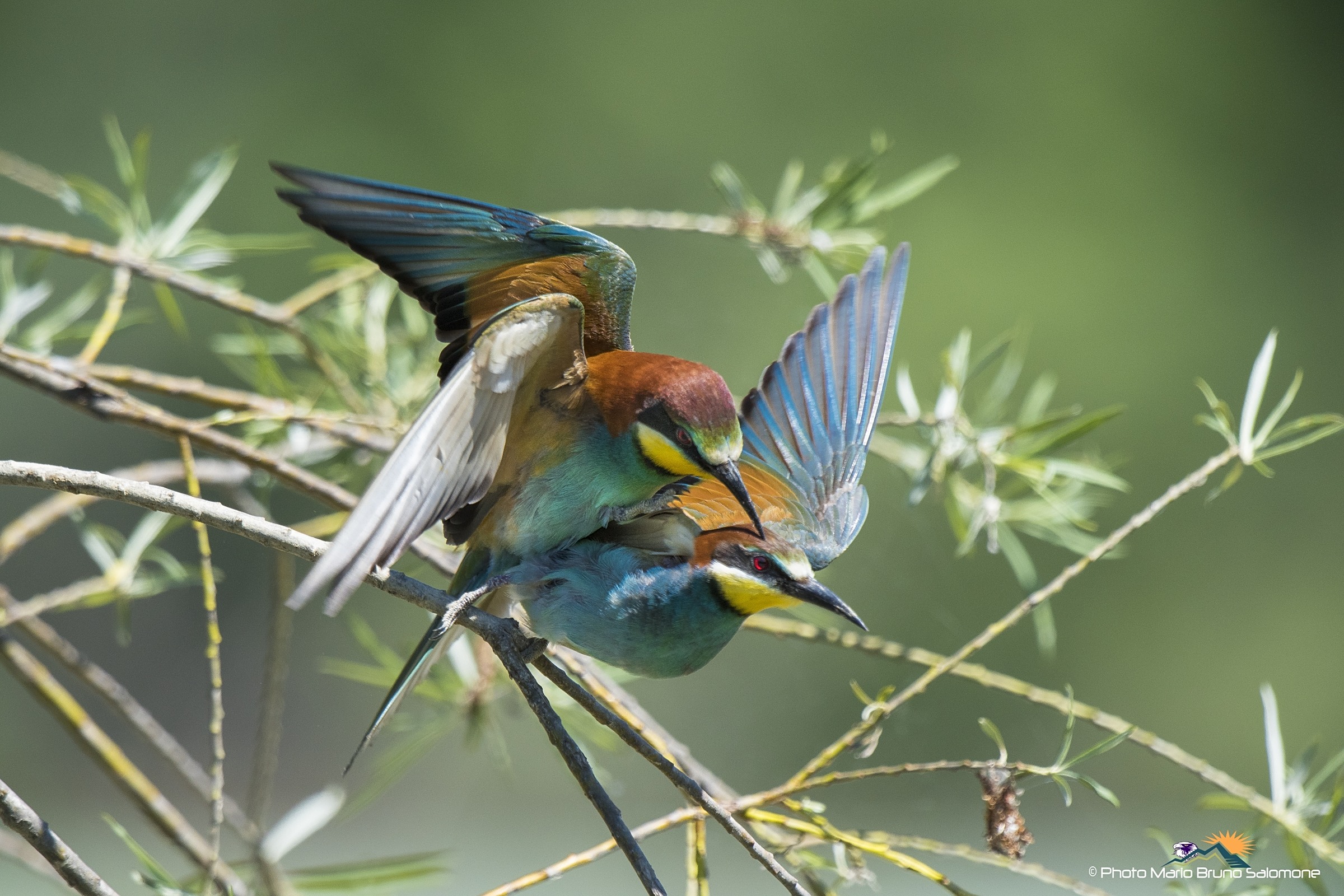 .. You give me something.