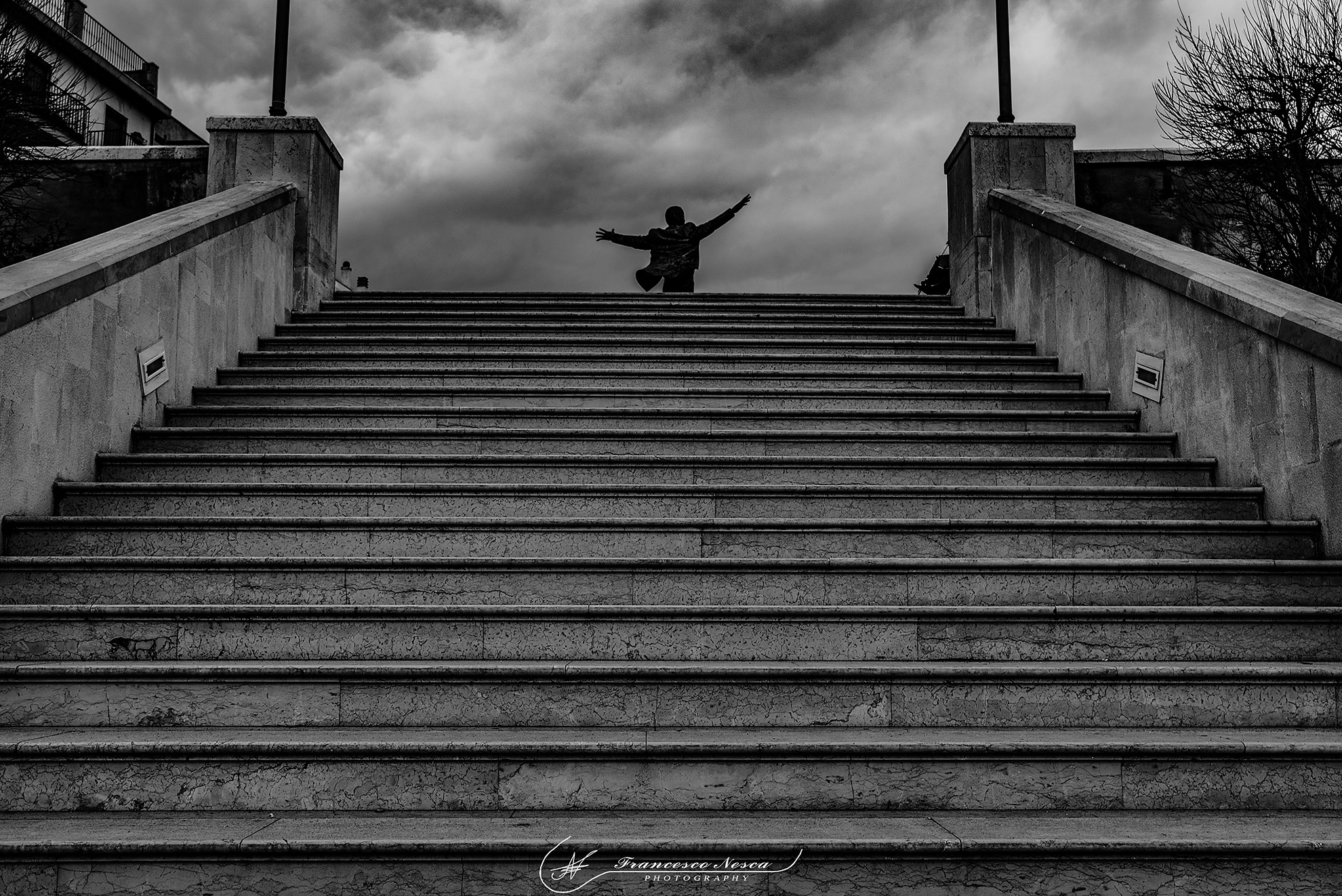 Ammirando il Volare di Modugno