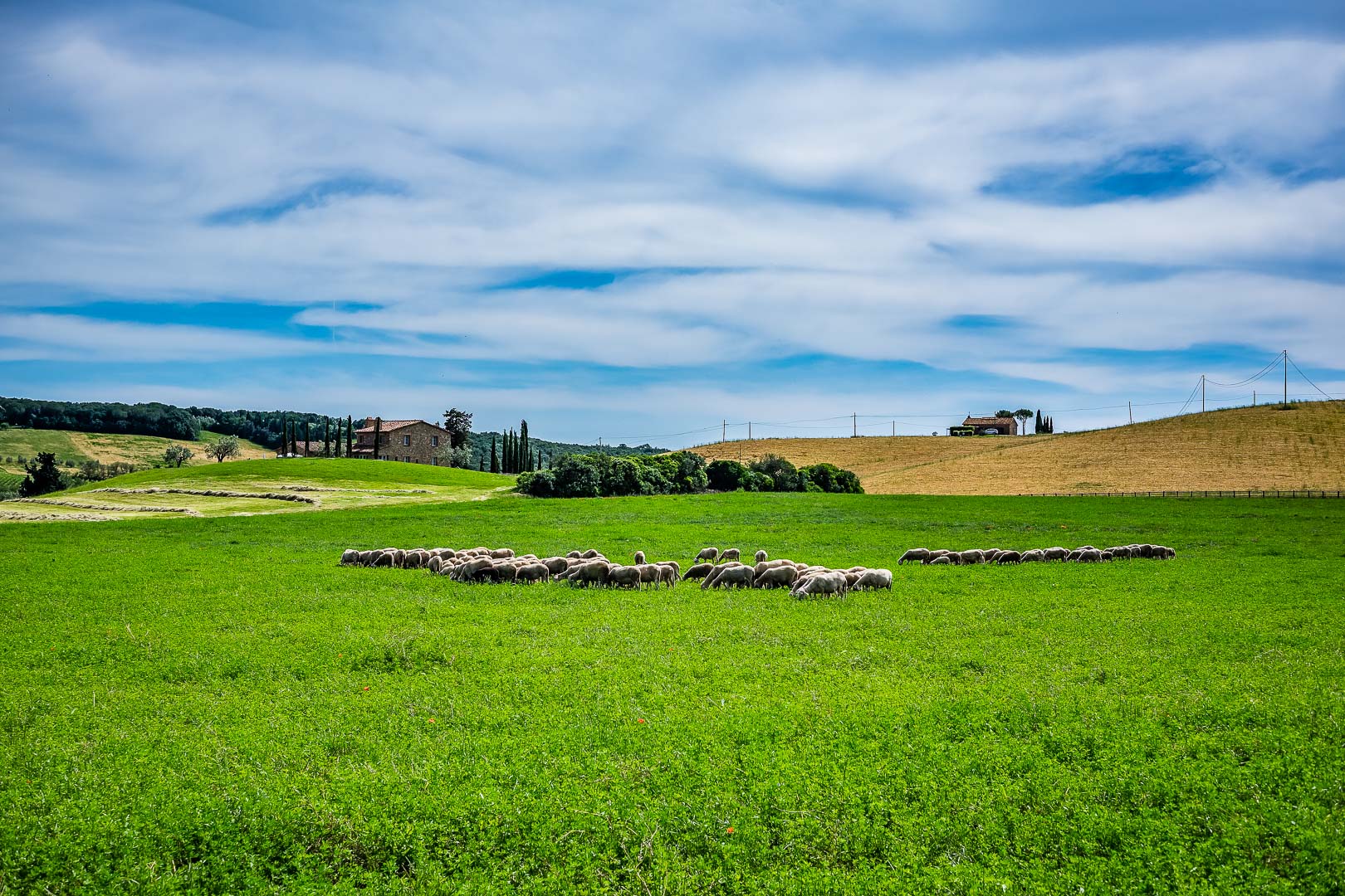 Campagna Toscana