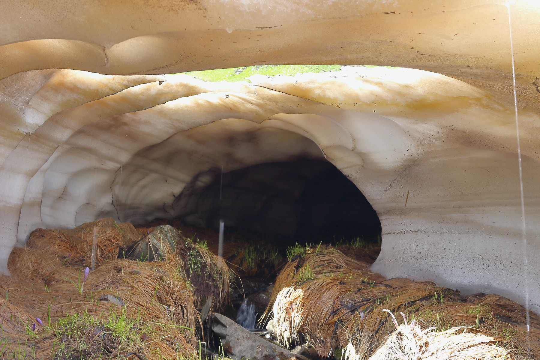 Dentro la grotta di neve