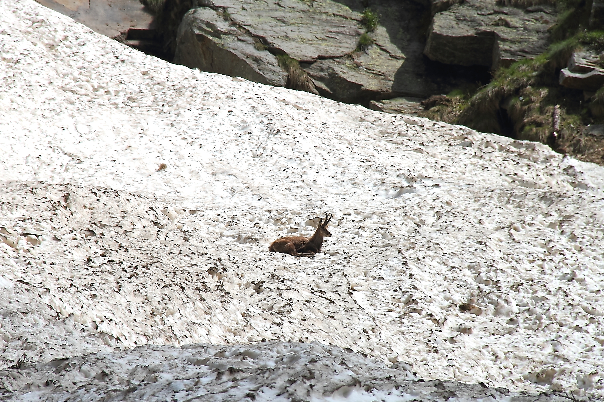 Tranquilla mattinata..