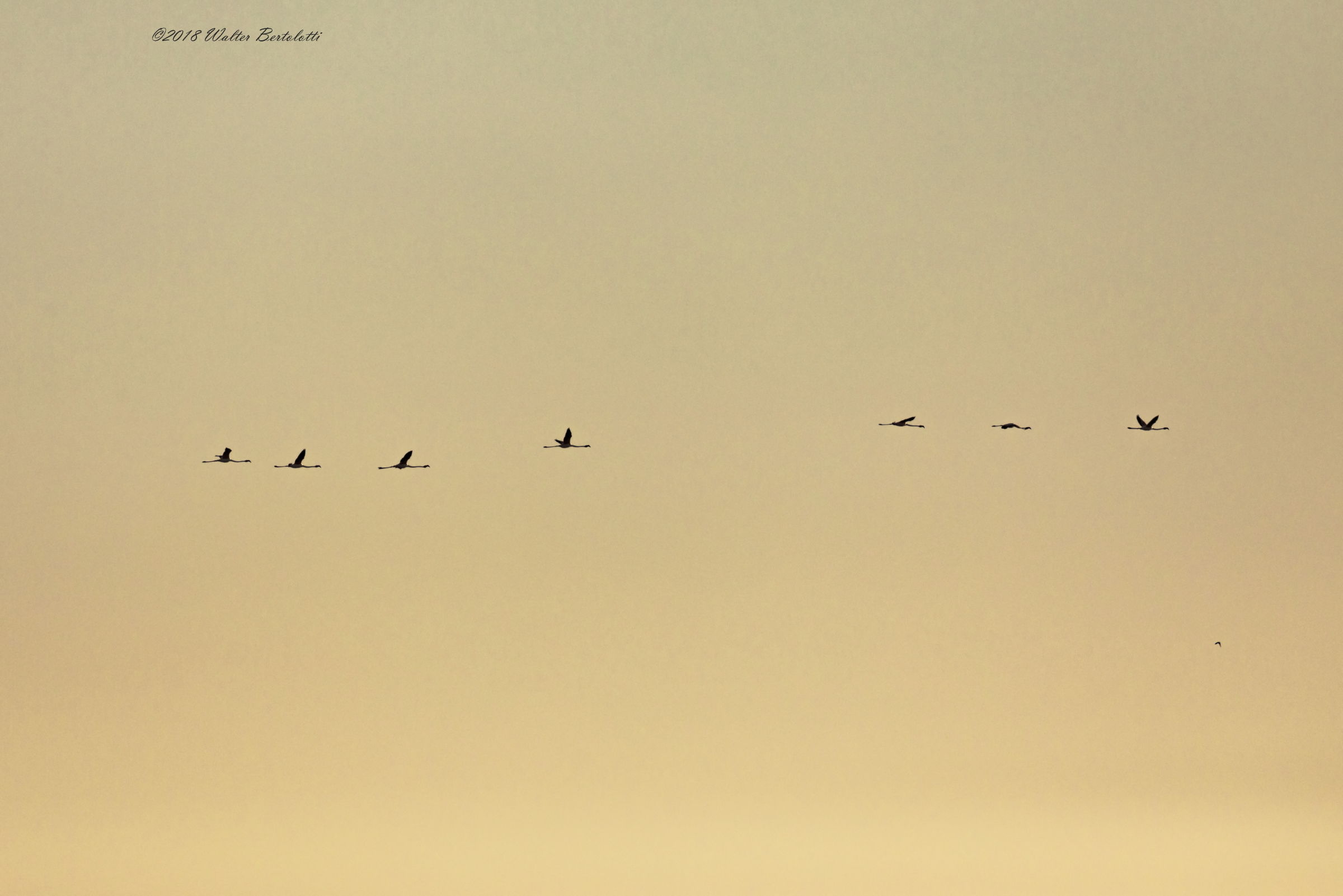 il tramonto a Donana