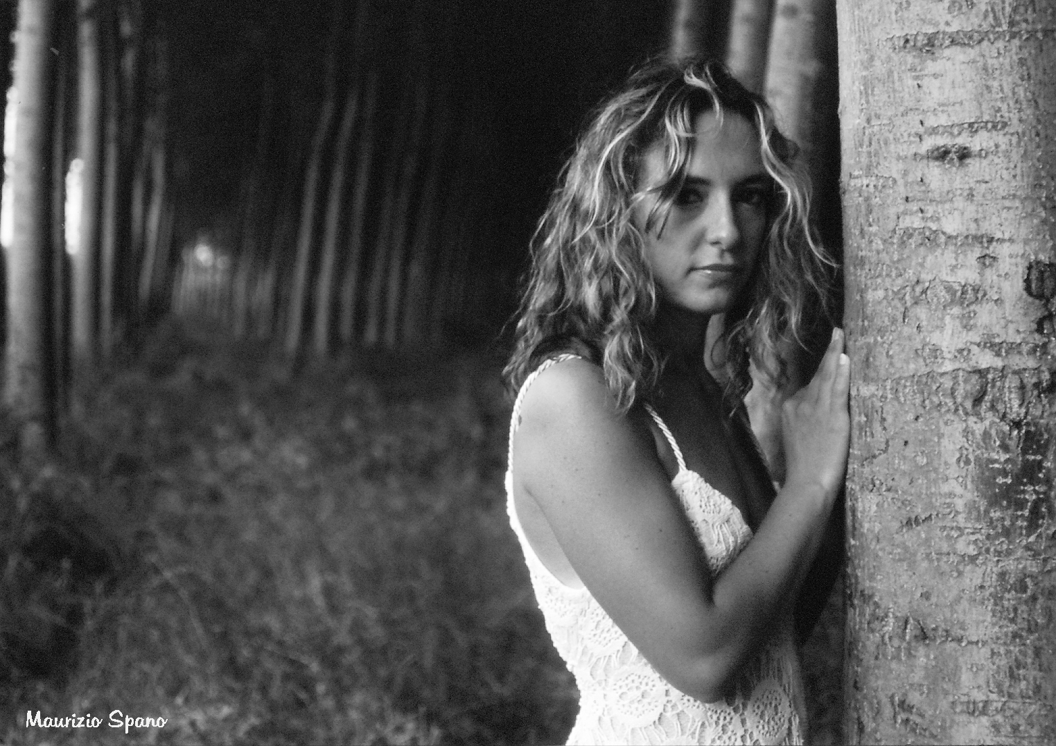 L'immagine nel bosco