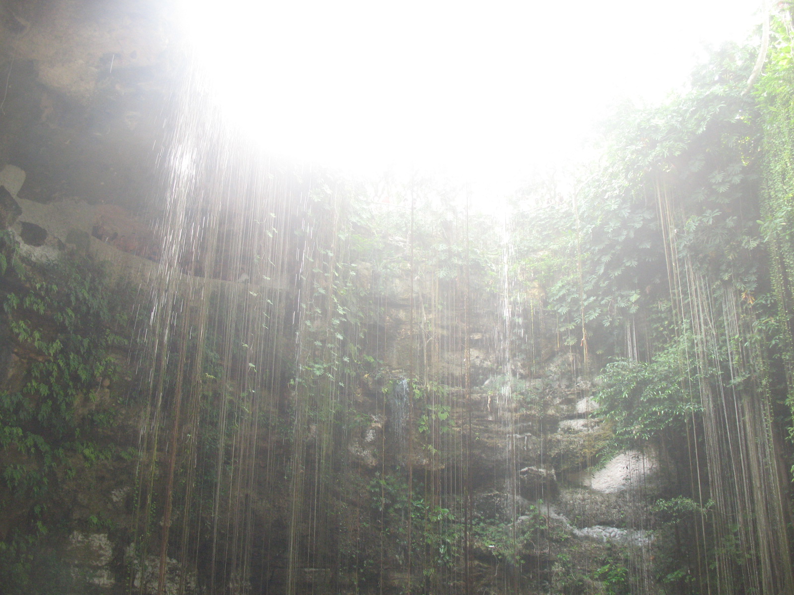 coma at the center of the earth .....