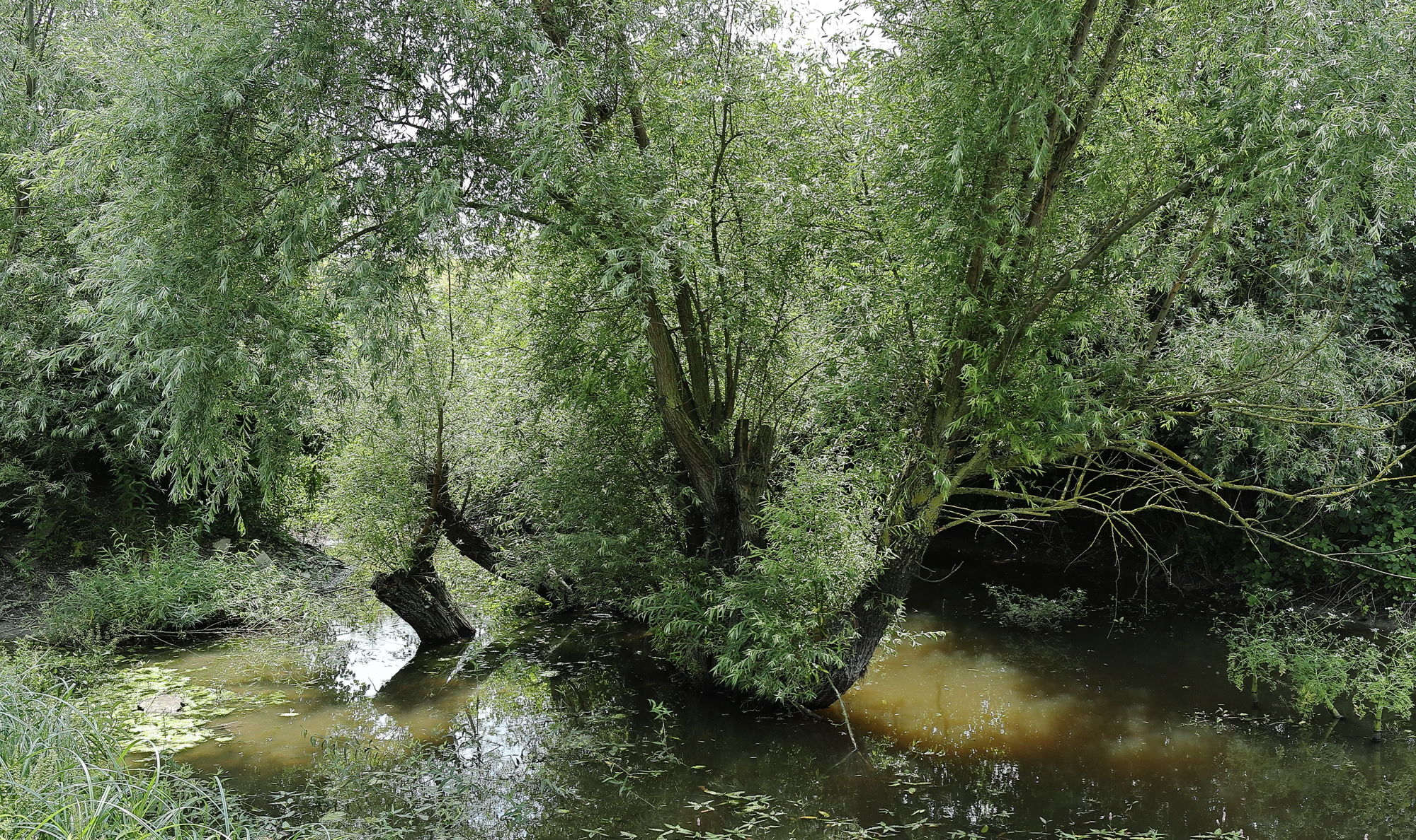 "Left to himself"...