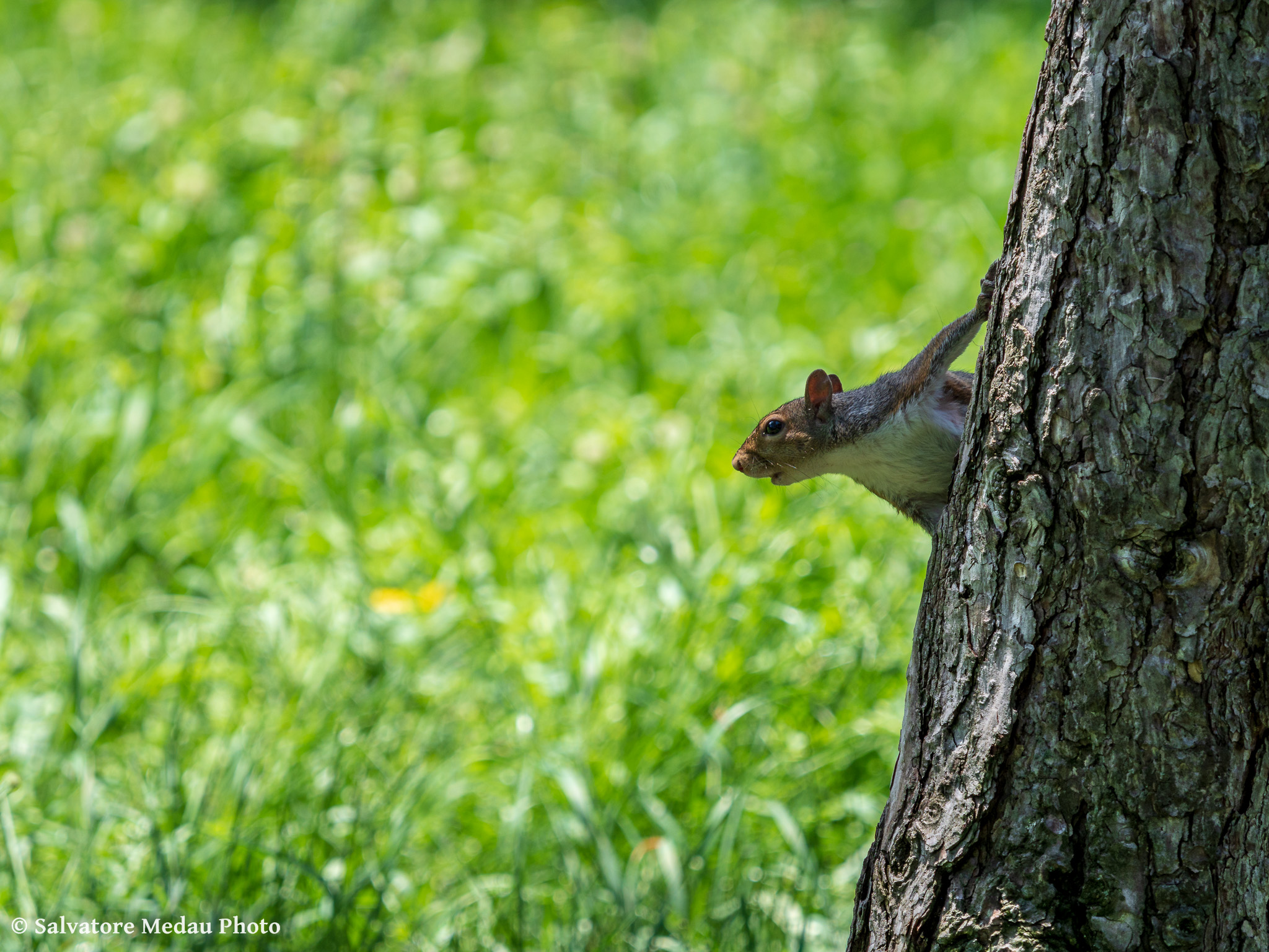 Where does that come from?