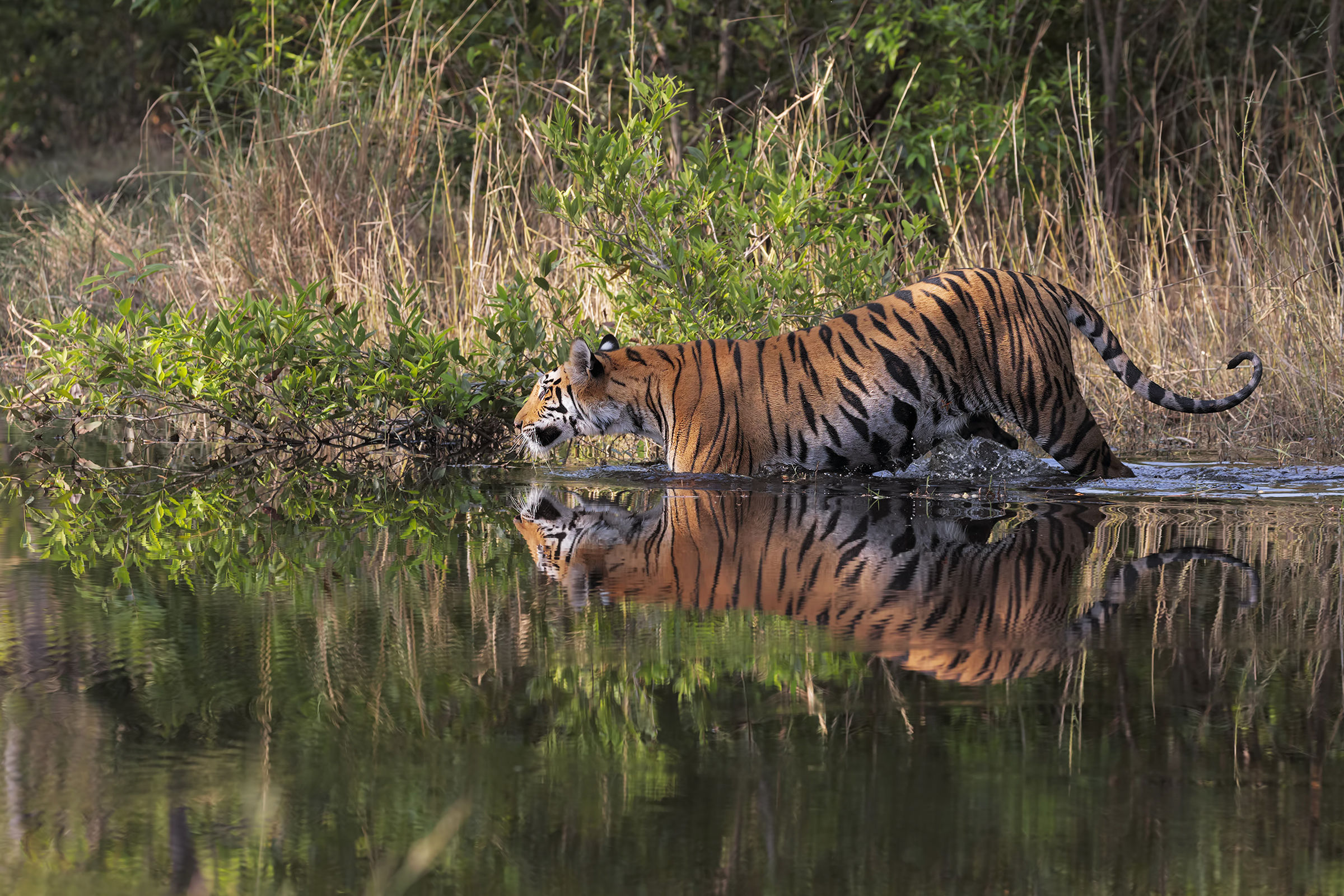 Slowly, the water is cold